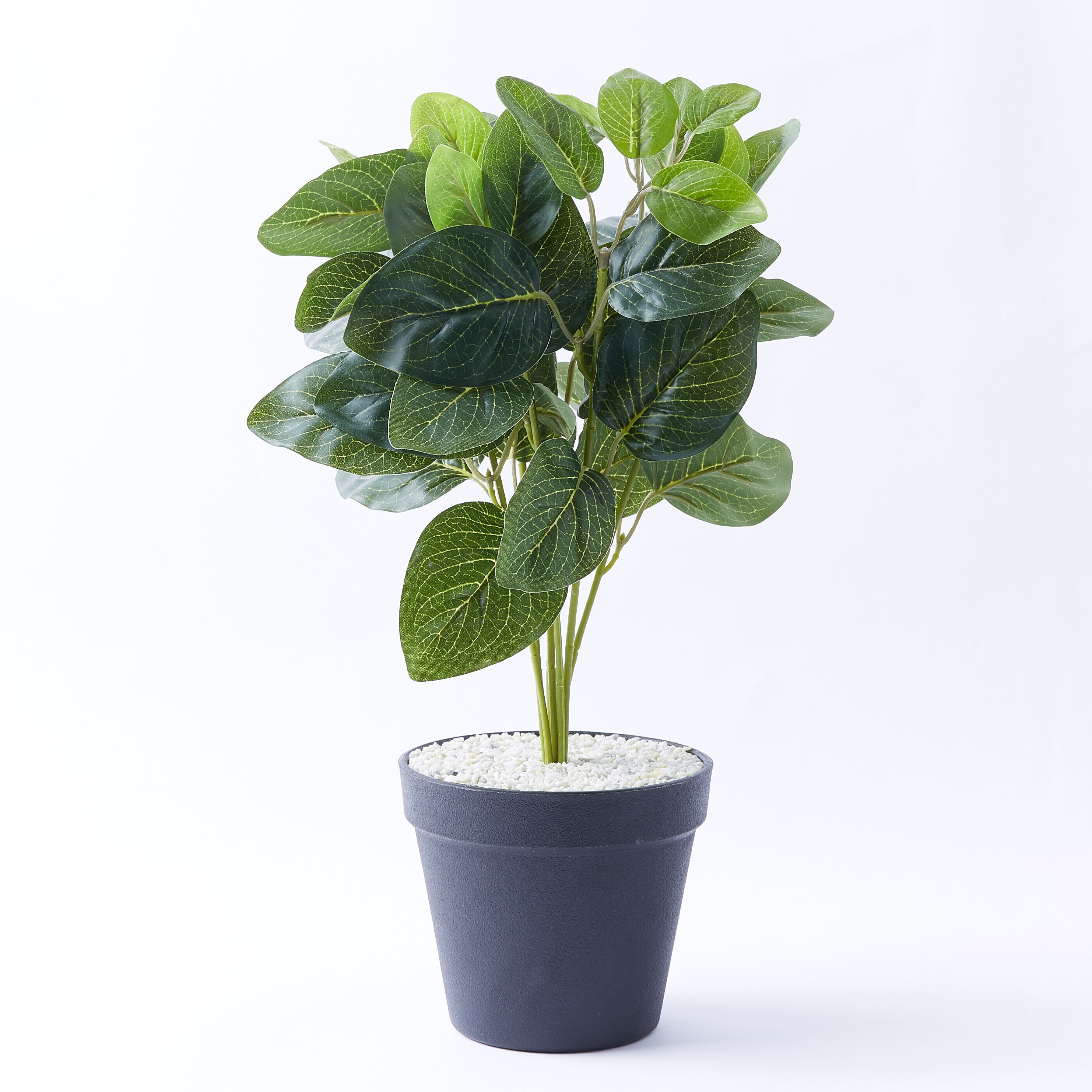 نبتة في إصيص - 40 سم-hbxdecorandfurnishings-homeaccessories-artificialflowersandplants-image-4