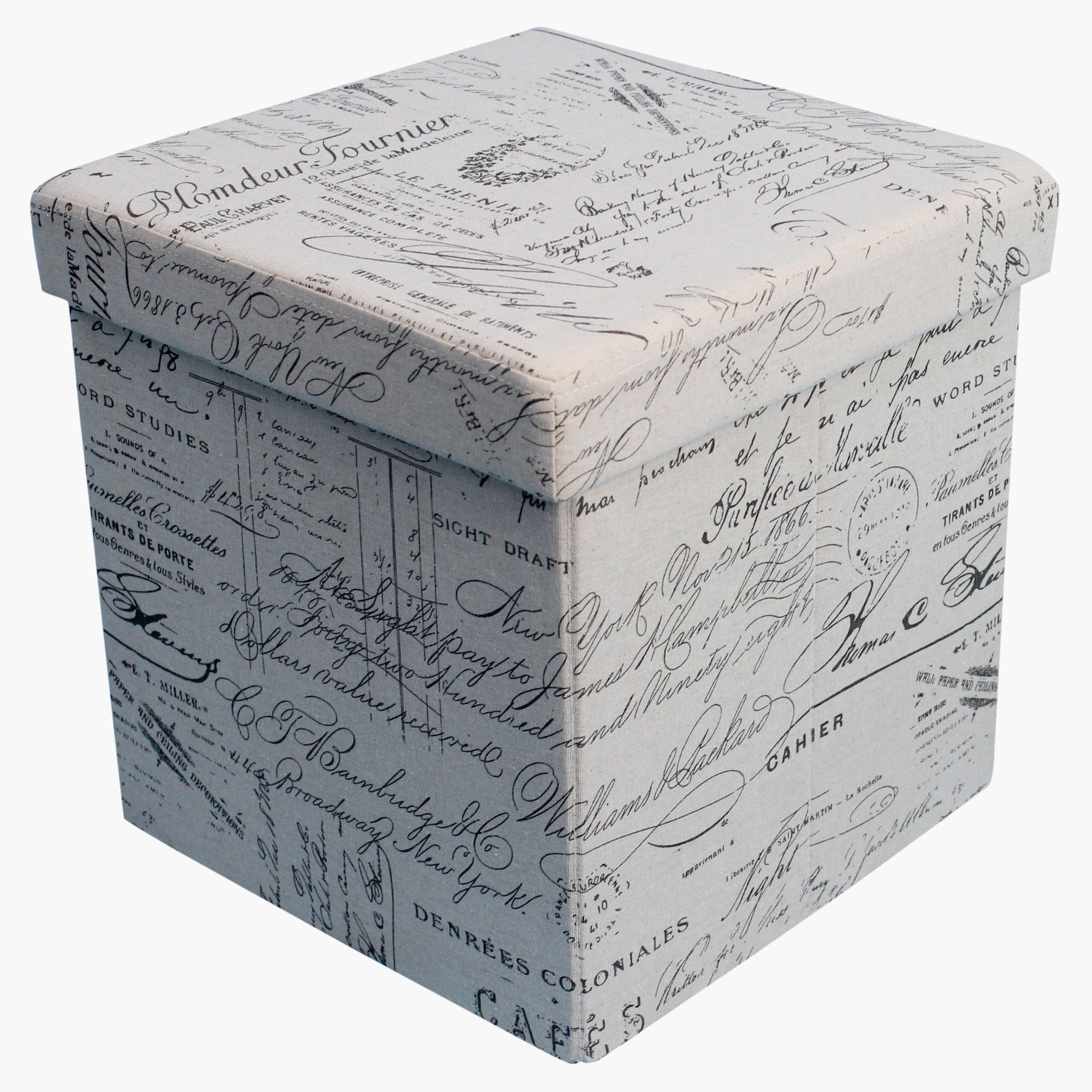 Script Folding Ottoman with Storage-hbxlivingroom-sofasandarmchairs-ottomansandfootstools-image-1