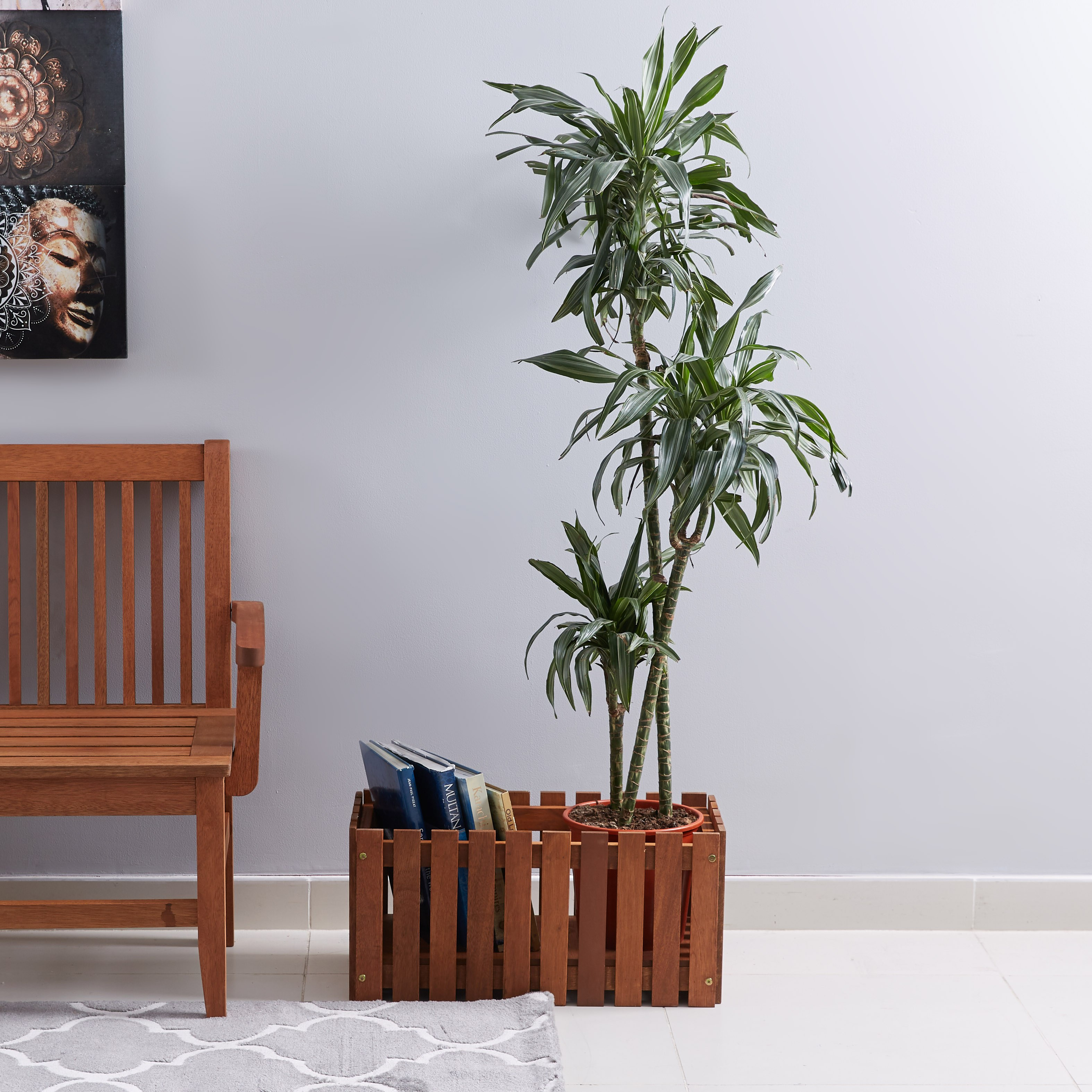 Vera Bahama Decorative Flower Planter Box-hbxlivingroom-decorandaccessories-plantersandurns-image-3
