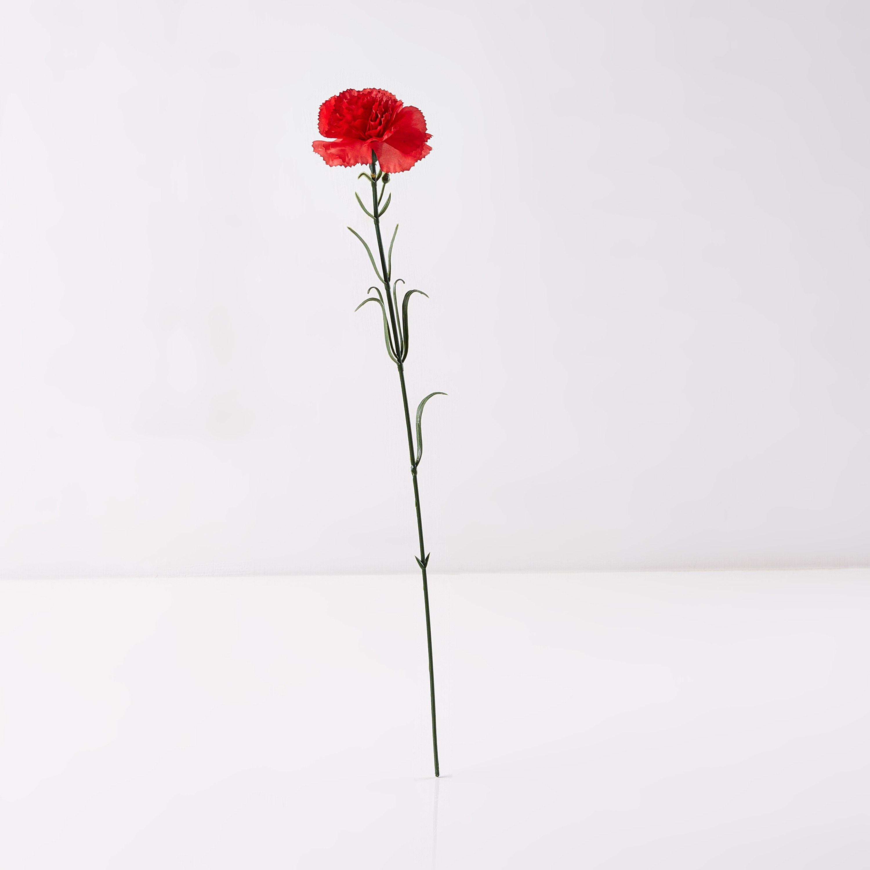 أزهار اصطناعية كارنايشن - 33 سم-hbxdecorandfurnishings-homeaccessories-artificialflowersandplants-image-4