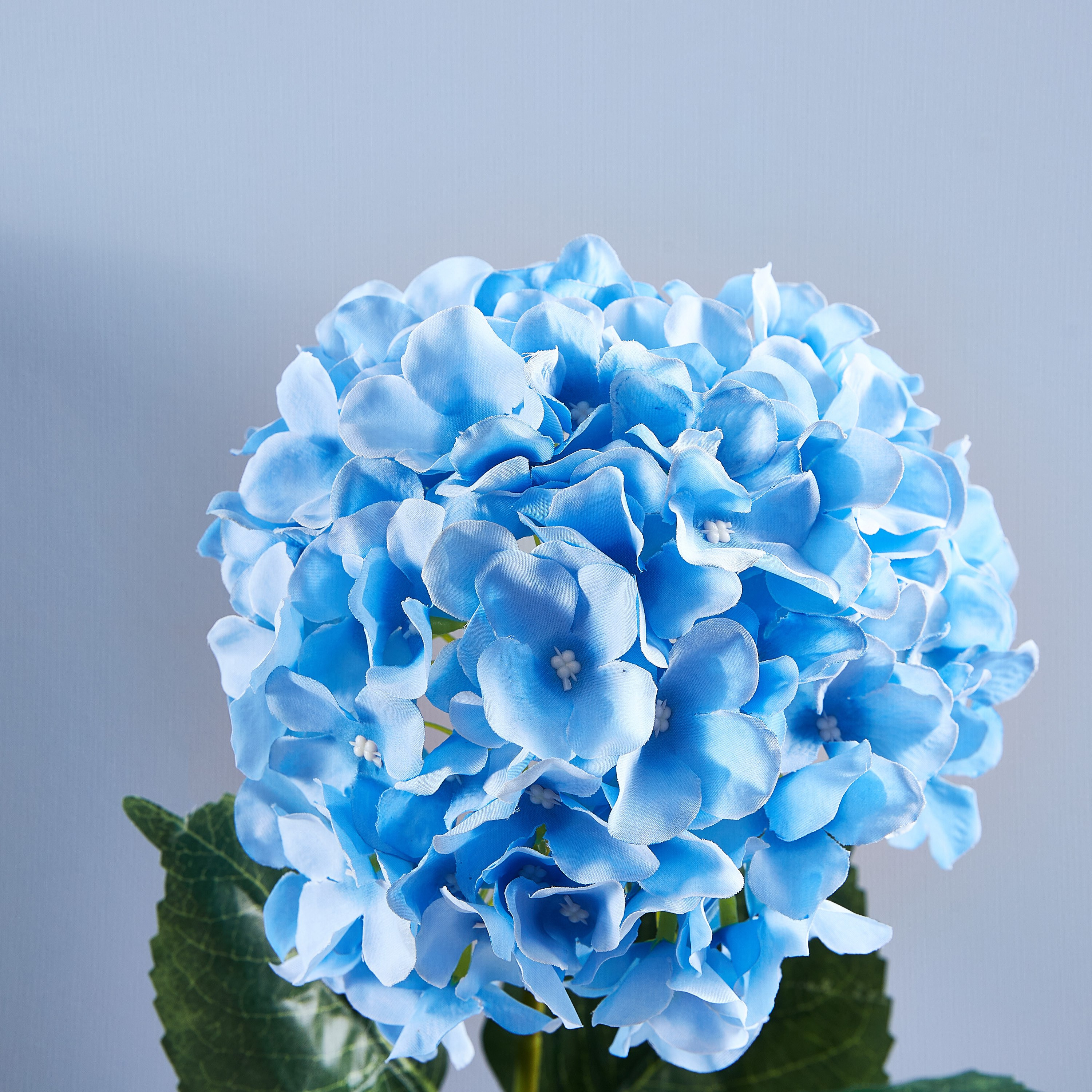 أزهار إصطناعية هايدرانجيا بيني - 80 سم-hbxdecorandfurnishings-homeaccessories-artificialflowersandplants-image-2