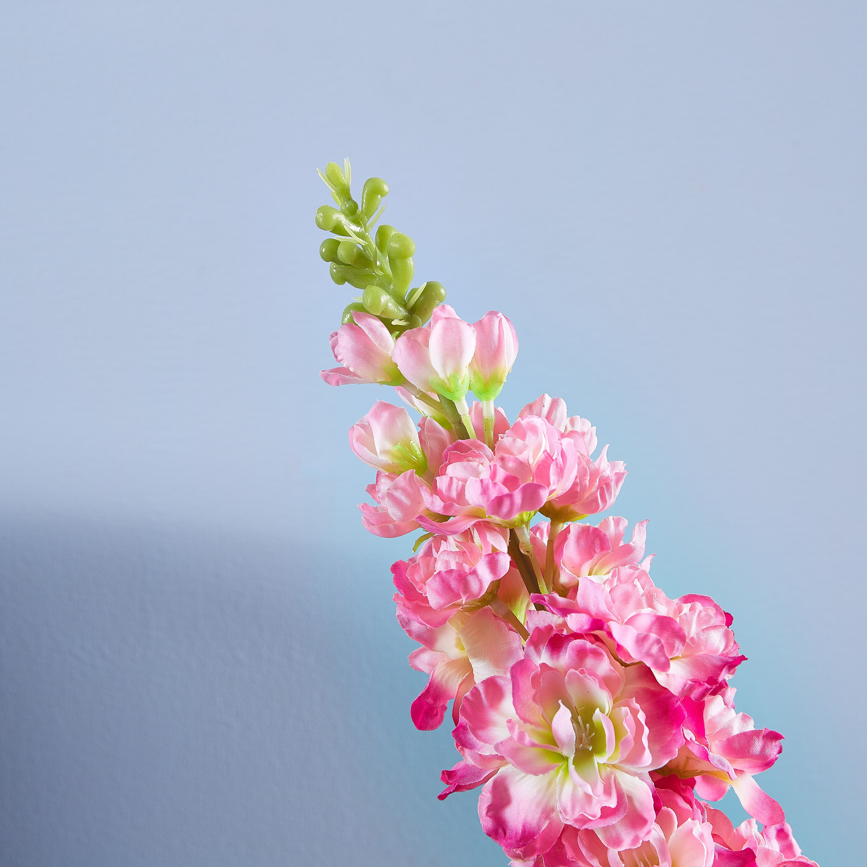 أزهار إصطناعية زهرة الدلفينيوم سيلك- 84 سم-hbxdecorandfurnishings-homeaccessories-artificialflowersandplants-image-2