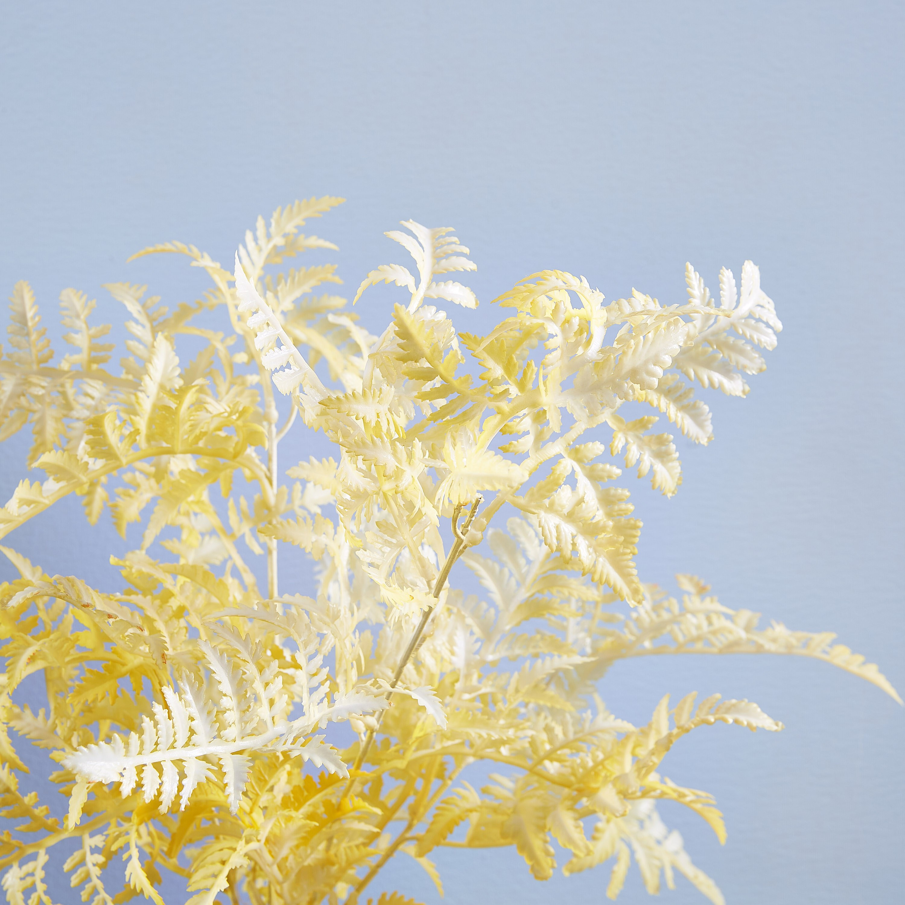 أزهار إصطناعية ميللو فيرن - 90 سم-hbxdecorandfurnishings-homeaccessories-artificialflowersandplants-image-2