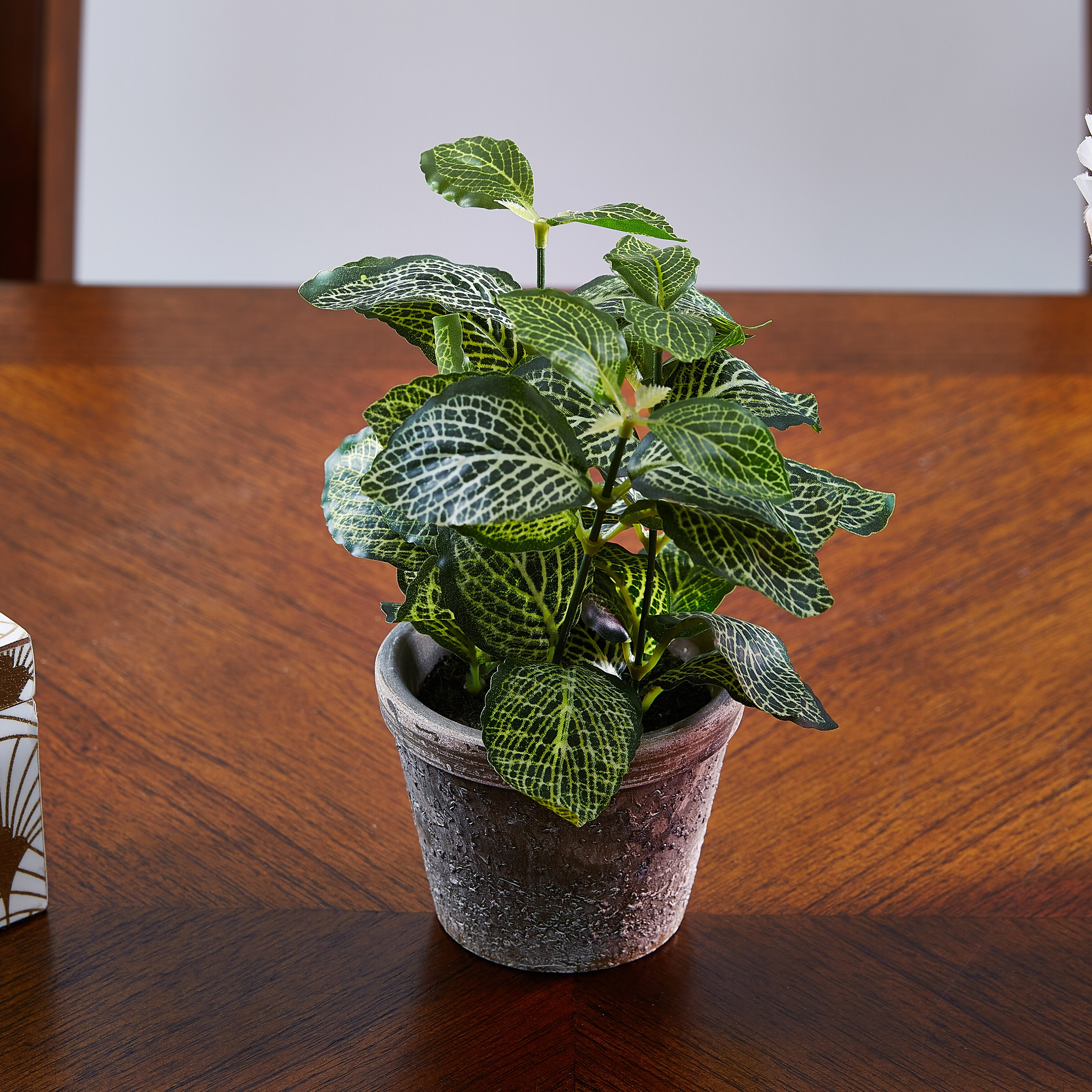نبات إصطناعي في إناء زرع - 22 سم-hbxdecorandfurnishings-homeaccessories-artificialflowersandplants-image-1