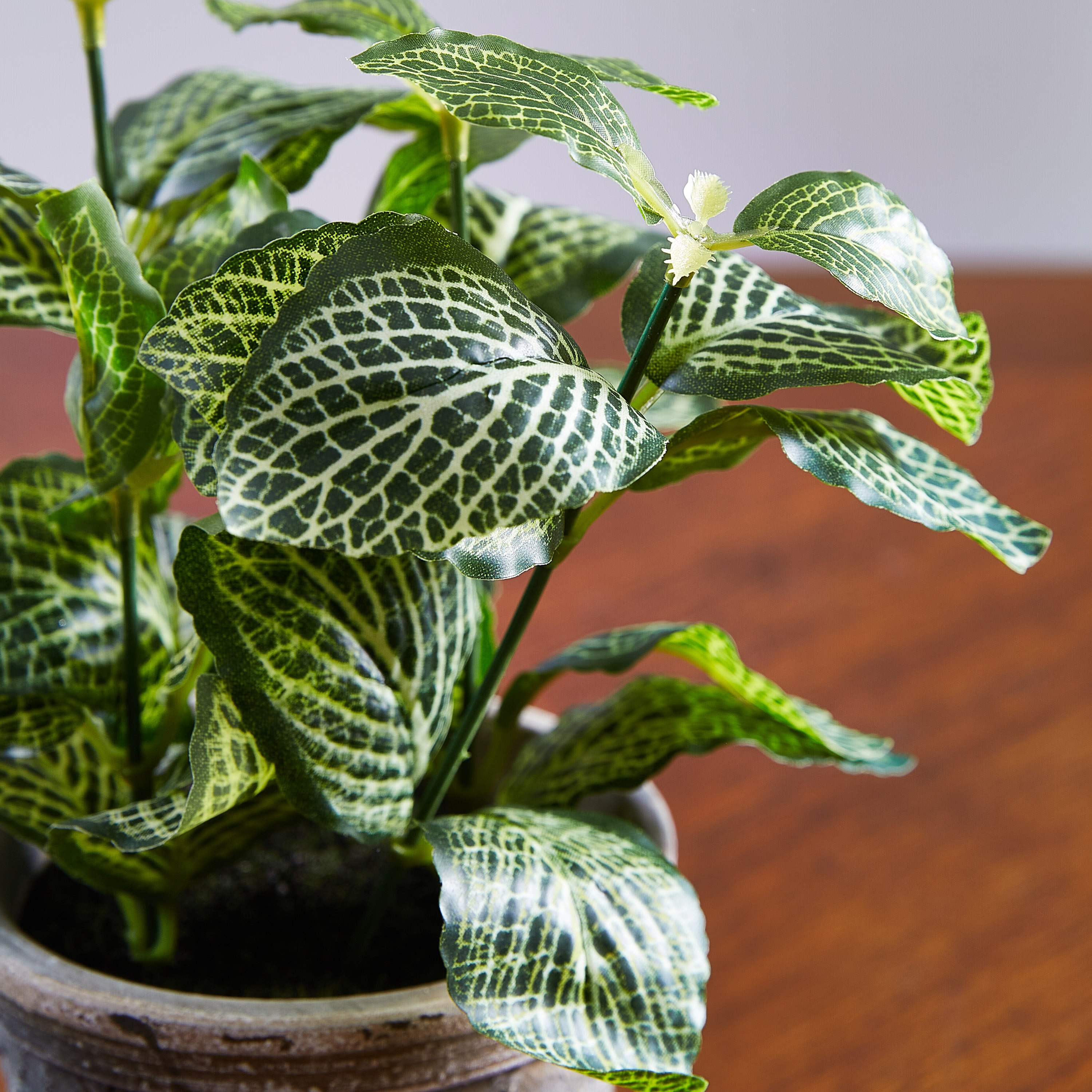 نبات إصطناعي في إناء زرع - 22 سم-hbxdecorandfurnishings-homeaccessories-artificialflowersandplants-image-2