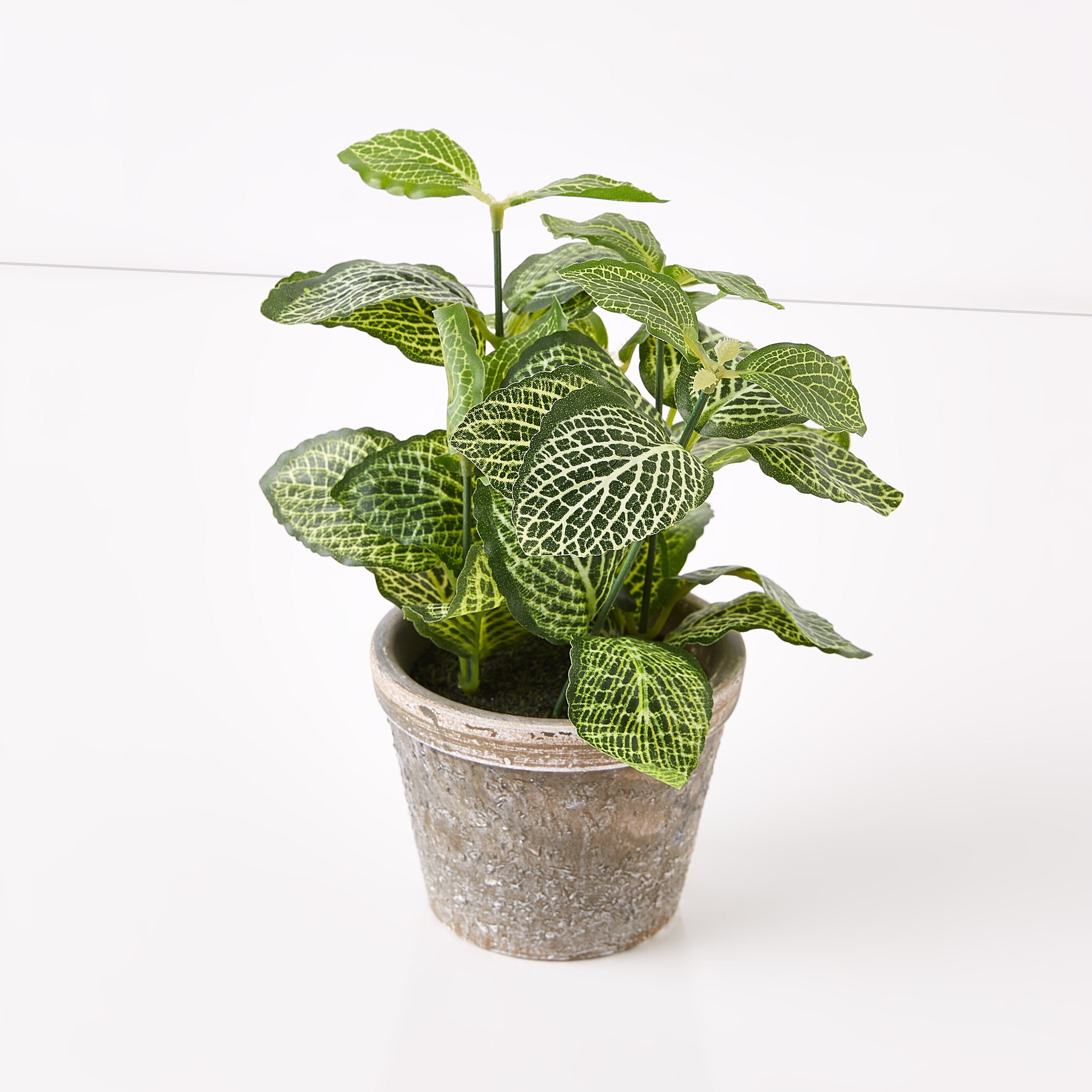 نبات إصطناعي في إناء زرع - 22 سم-hbxdecorandfurnishings-homeaccessories-artificialflowersandplants-image-4