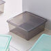 Easy Underbed Storage Box with Lid - 18 L-Organisers-thumbnailMobile-0