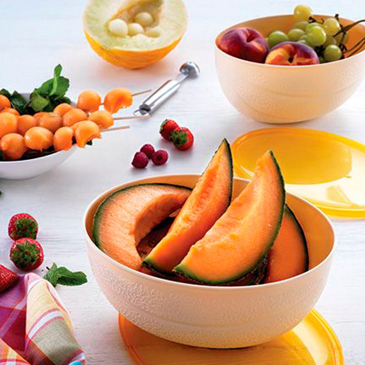 Snips Melon Saver - 2 L-hbxhomeware-hbxkitchen-image-1