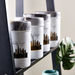 Cityscape Stainless Steel Canister - 1800 ml-Containers and Jars-thumbnailMobile-2