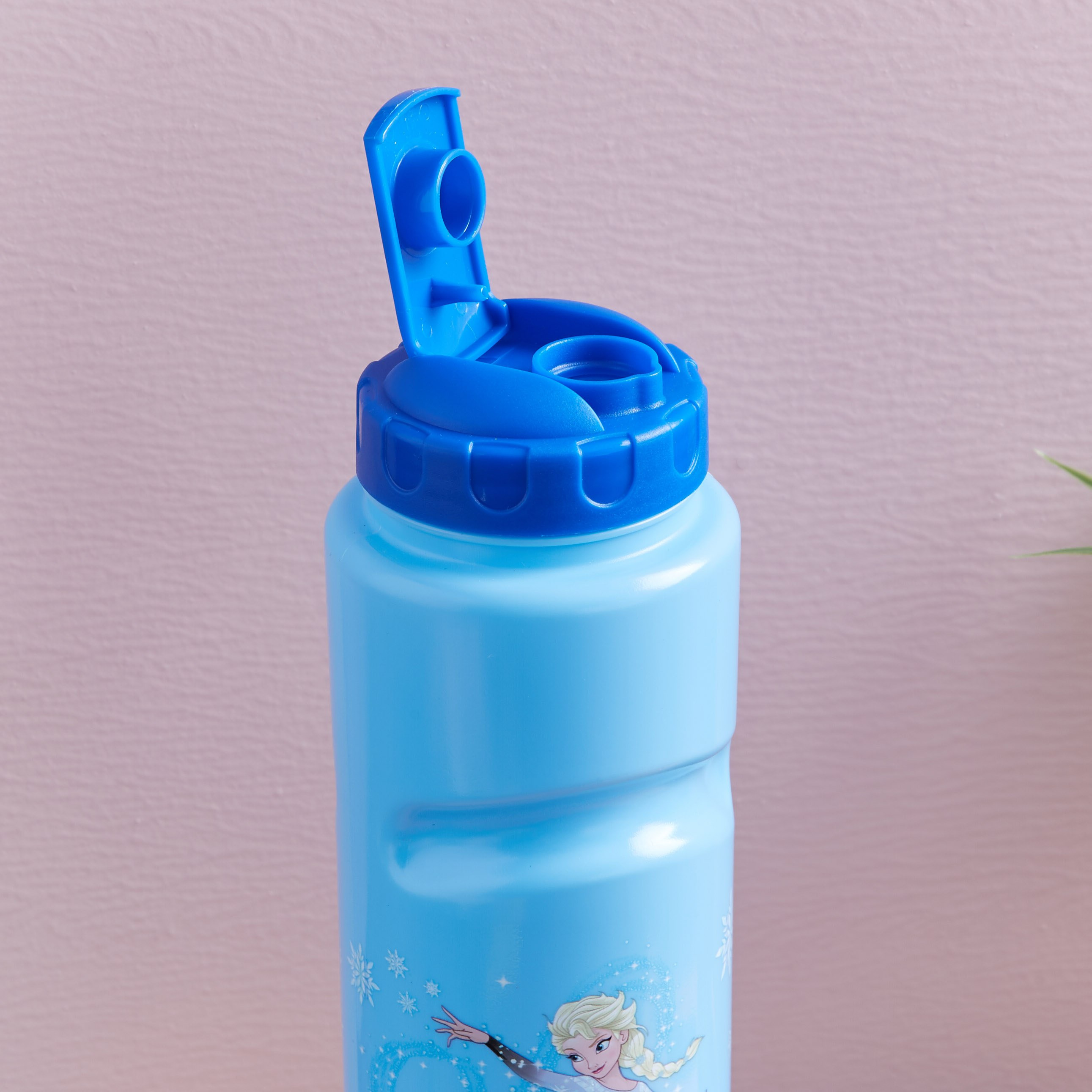 قارورة مياه بطبعات فروزن - 800 مل-hbxhomeware-hbxkidsandyouth-image-2