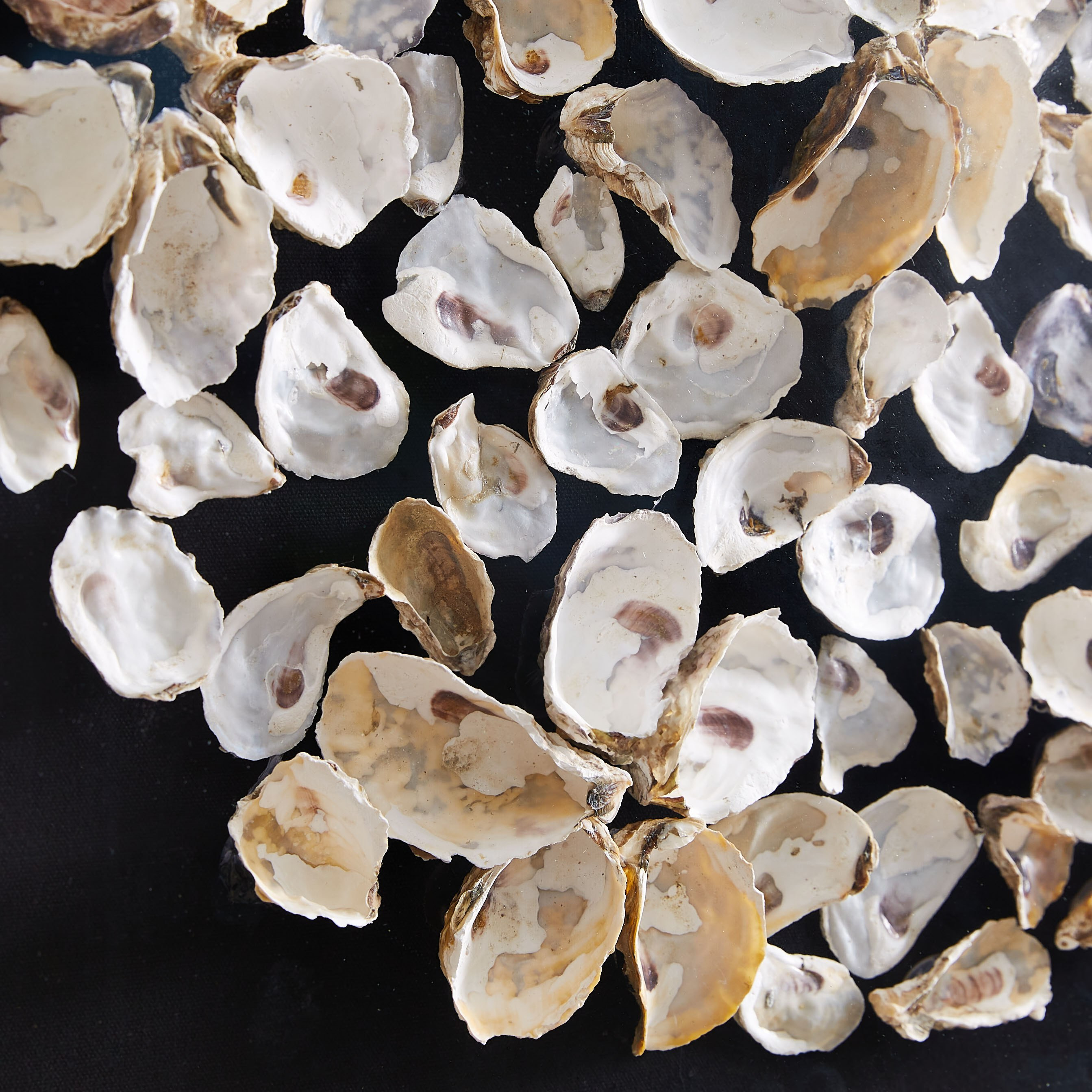 Mural Seashell Shadowbox Wall Art-hbxlivingroom-walldecor-wallart-image-3