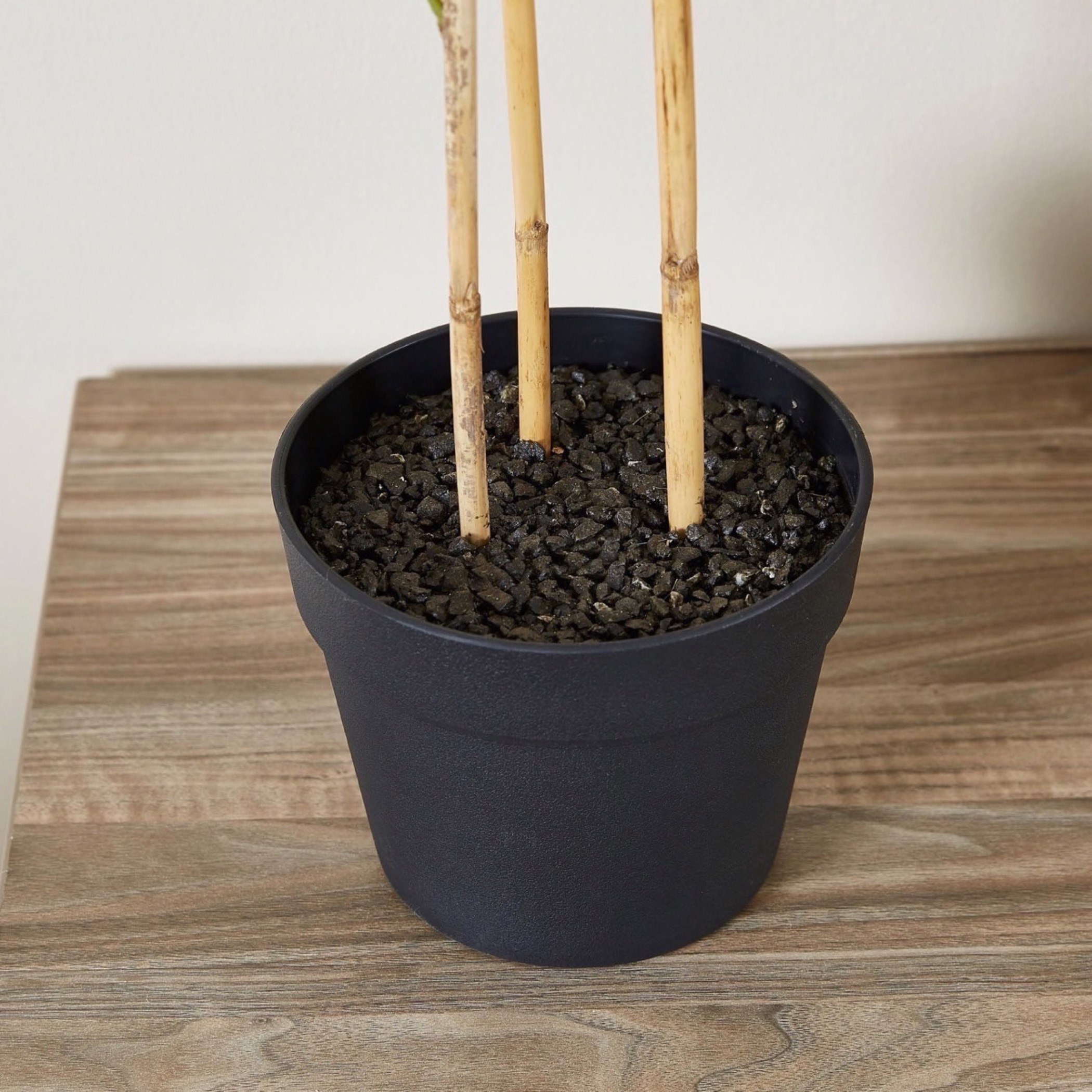نبتة خيرزان في إصيص - 85 سم-hbxdecorandfurnishings-homeaccessories-artificialflowersandplants-image-2
