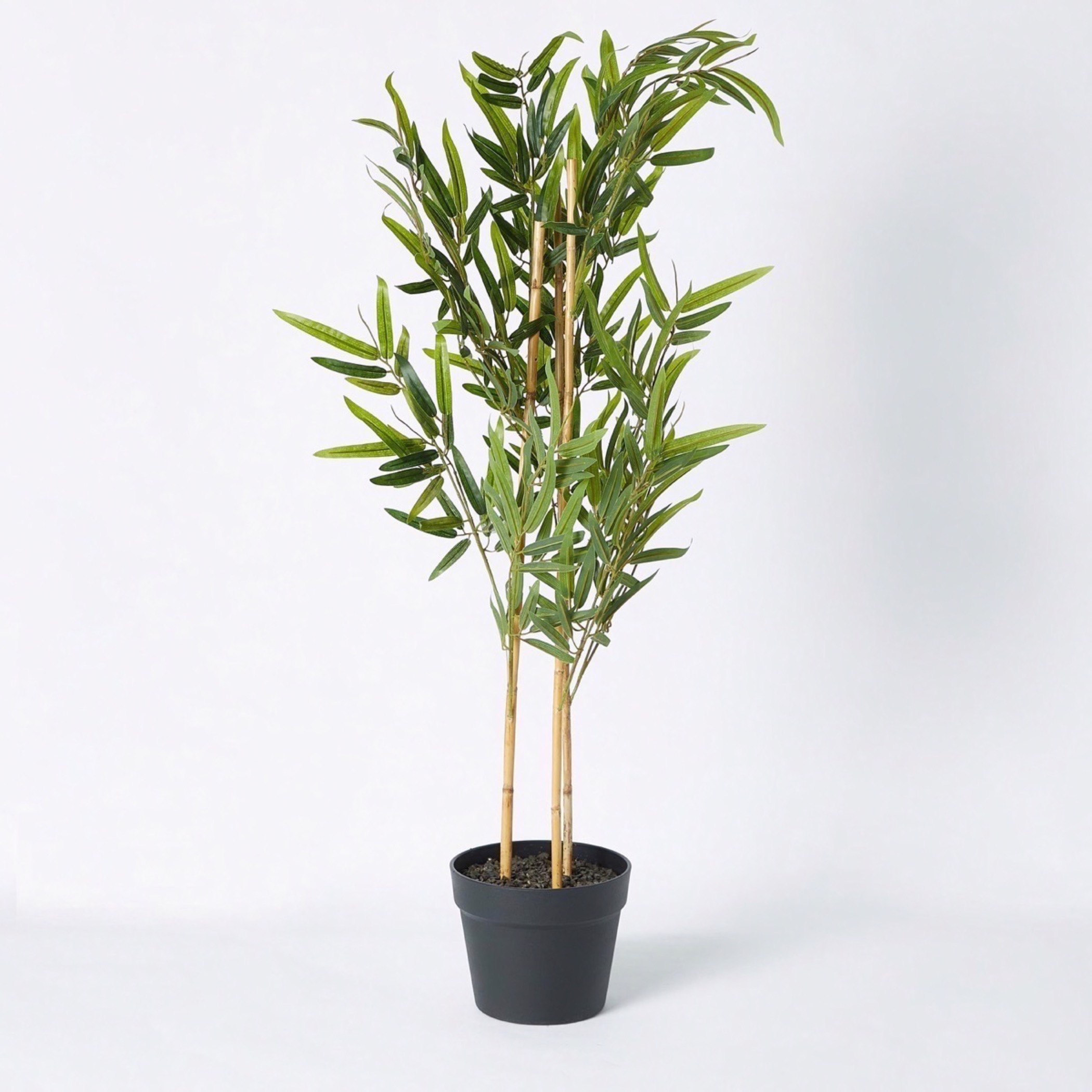 نبتة خيرزان في إصيص - 85 سم-hbxdecorandfurnishings-homeaccessories-artificialflowersandplants-image-5