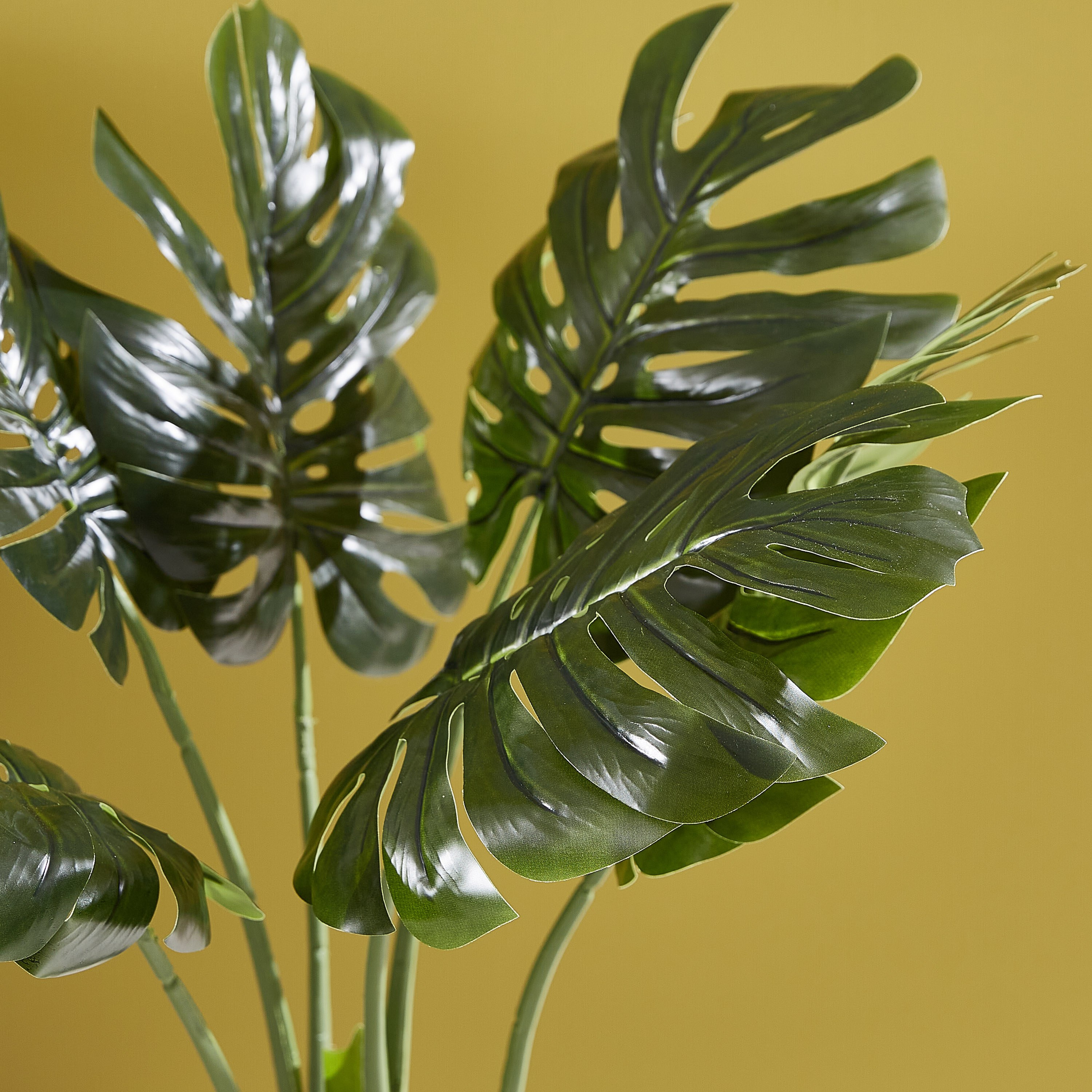 نبتة مونستيرا في إصيص من ليفيا- 95 سم-hbxdecorandfurnishings-homeaccessories-artificialflowersandplants-image-2