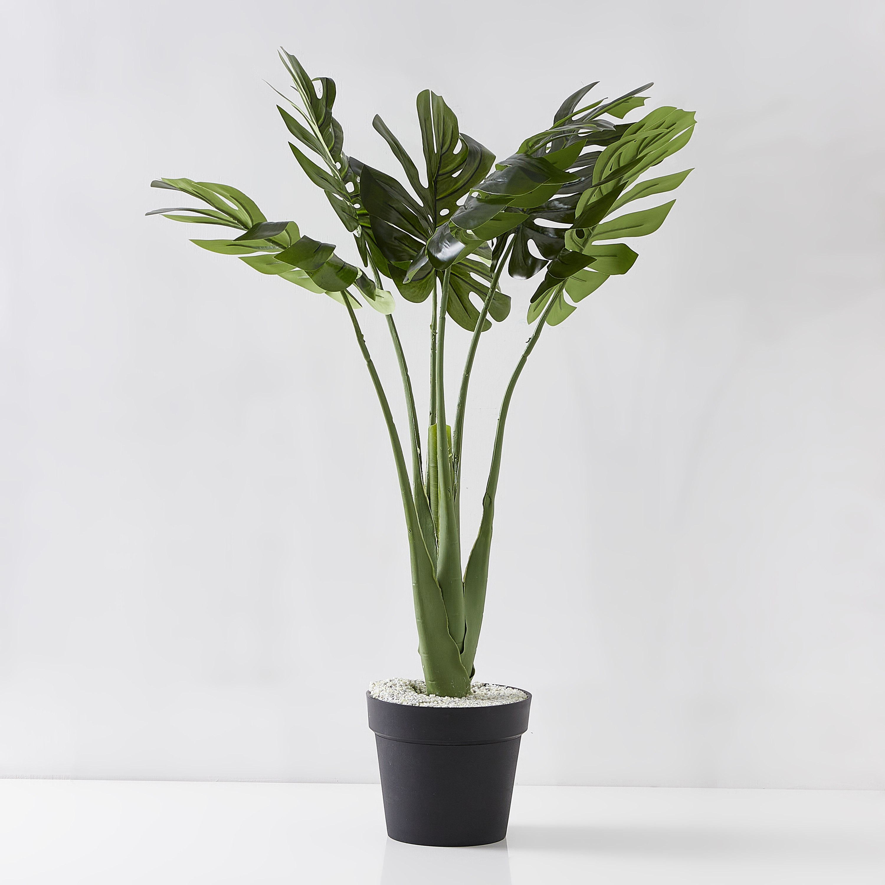 نبتة مونستيرا في إصيص من ليفيا- 95 سم-hbxdecorandfurnishings-homeaccessories-artificialflowersandplants-image-4