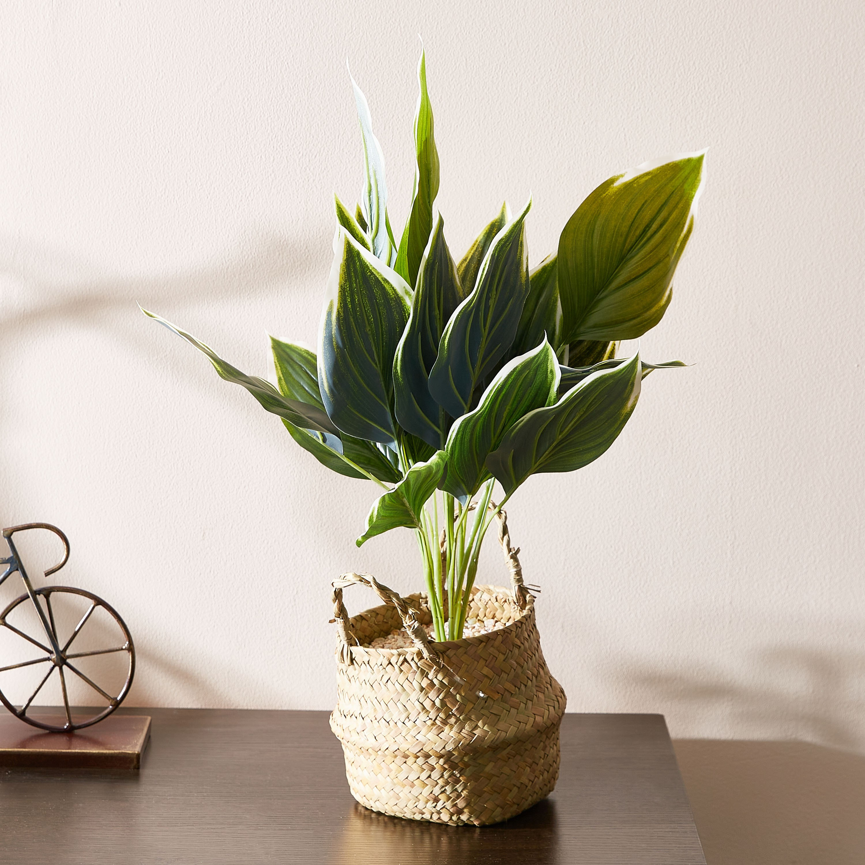 Livia Variegated Plant in Jute Pot - 18 cm-hbxdecorandfurnishings-homeaccessories-artificialflowersandplants-image-1