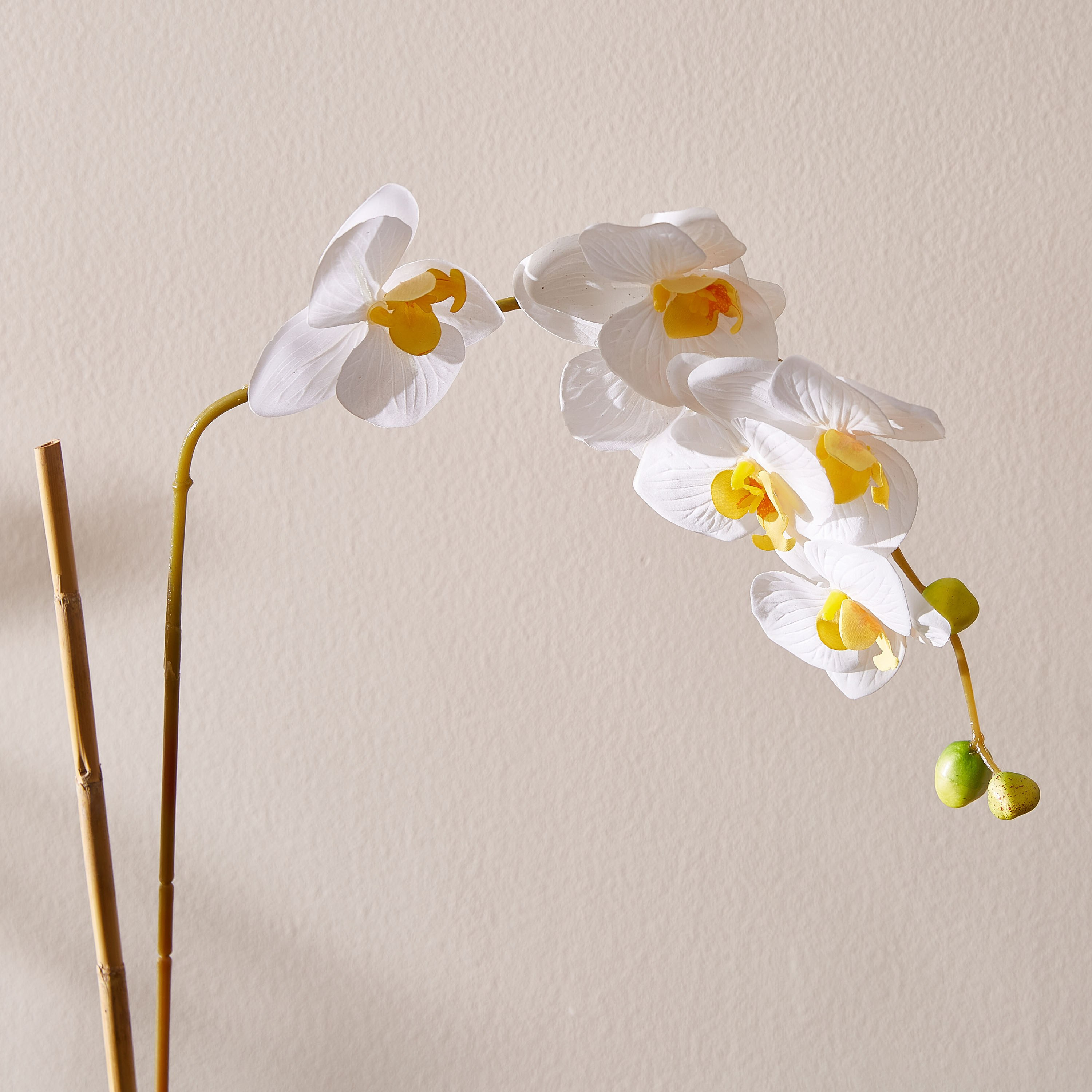 Livia Orchid Plant in Pot - 60 cm-hbxdecorandfurnishings-homeaccessories-artificialflowersandplants-image-2
