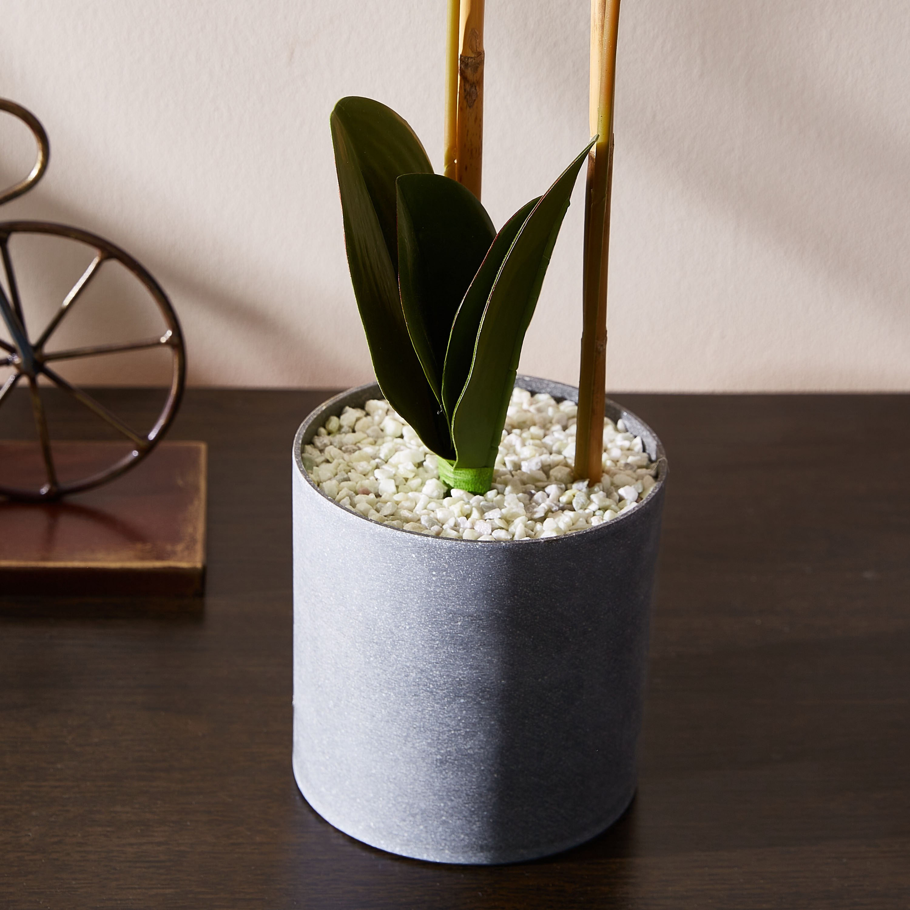 Livia Orchid Plant in Pot - 60 cm-hbxdecorandfurnishings-homeaccessories-artificialflowersandplants-image-3