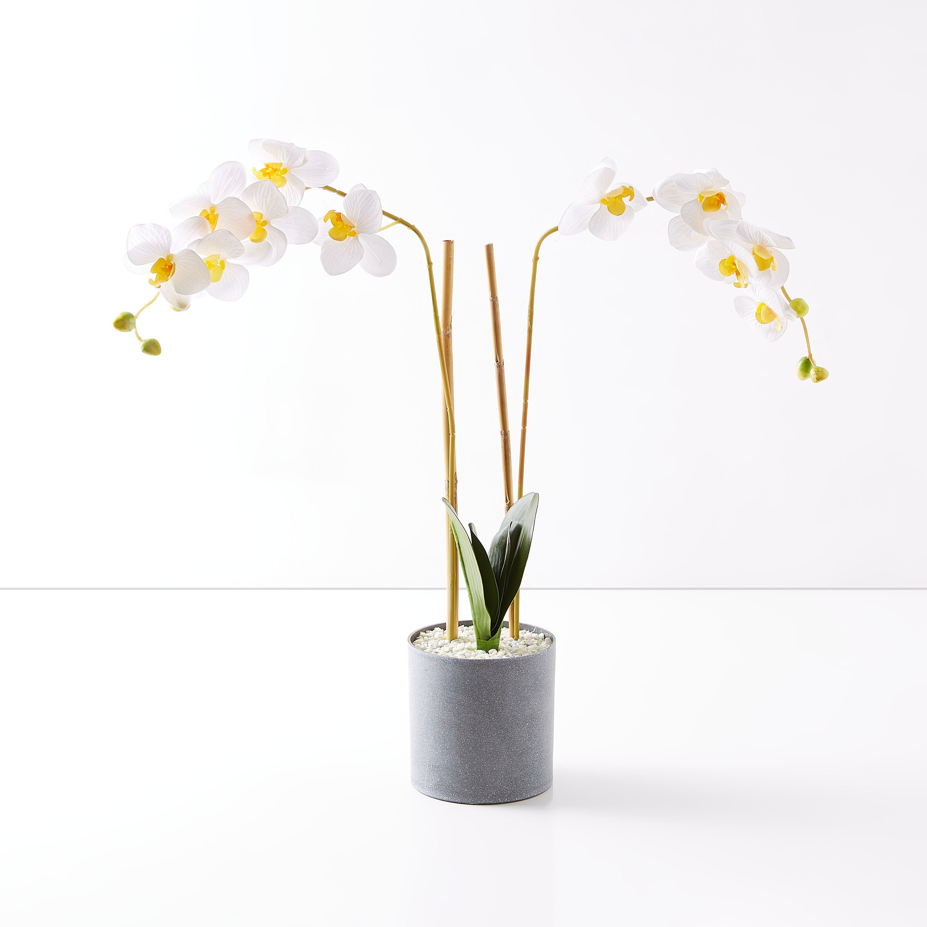 Livia Orchid Plant in Pot - 60 cm-hbxdecorandfurnishings-homeaccessories-artificialflowersandplants-image-5