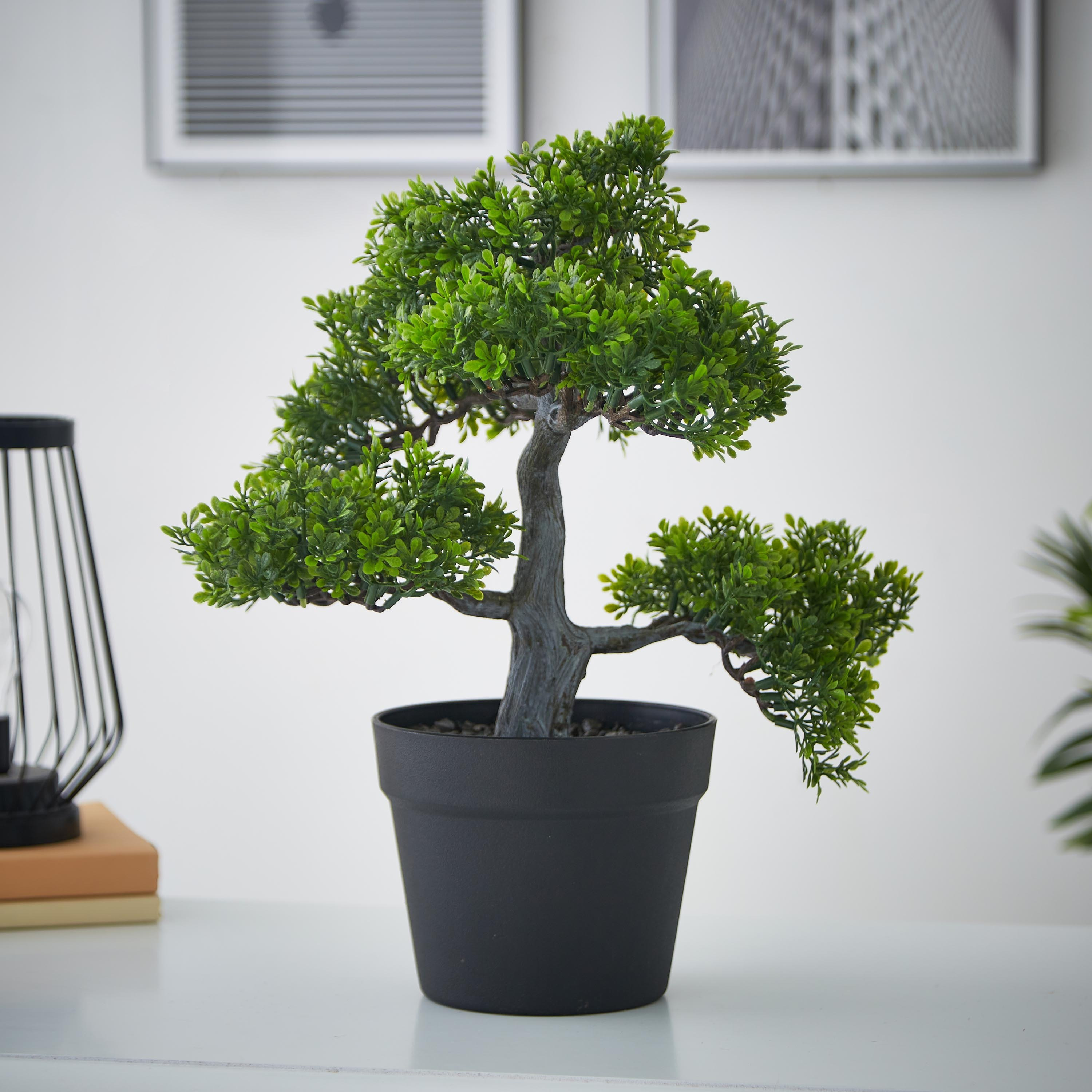 شجرة بونساي مع إصيص أسود - 33 سم-hbxdecorandfurnishings-homeaccessories-artificialflowersandplants-image-1