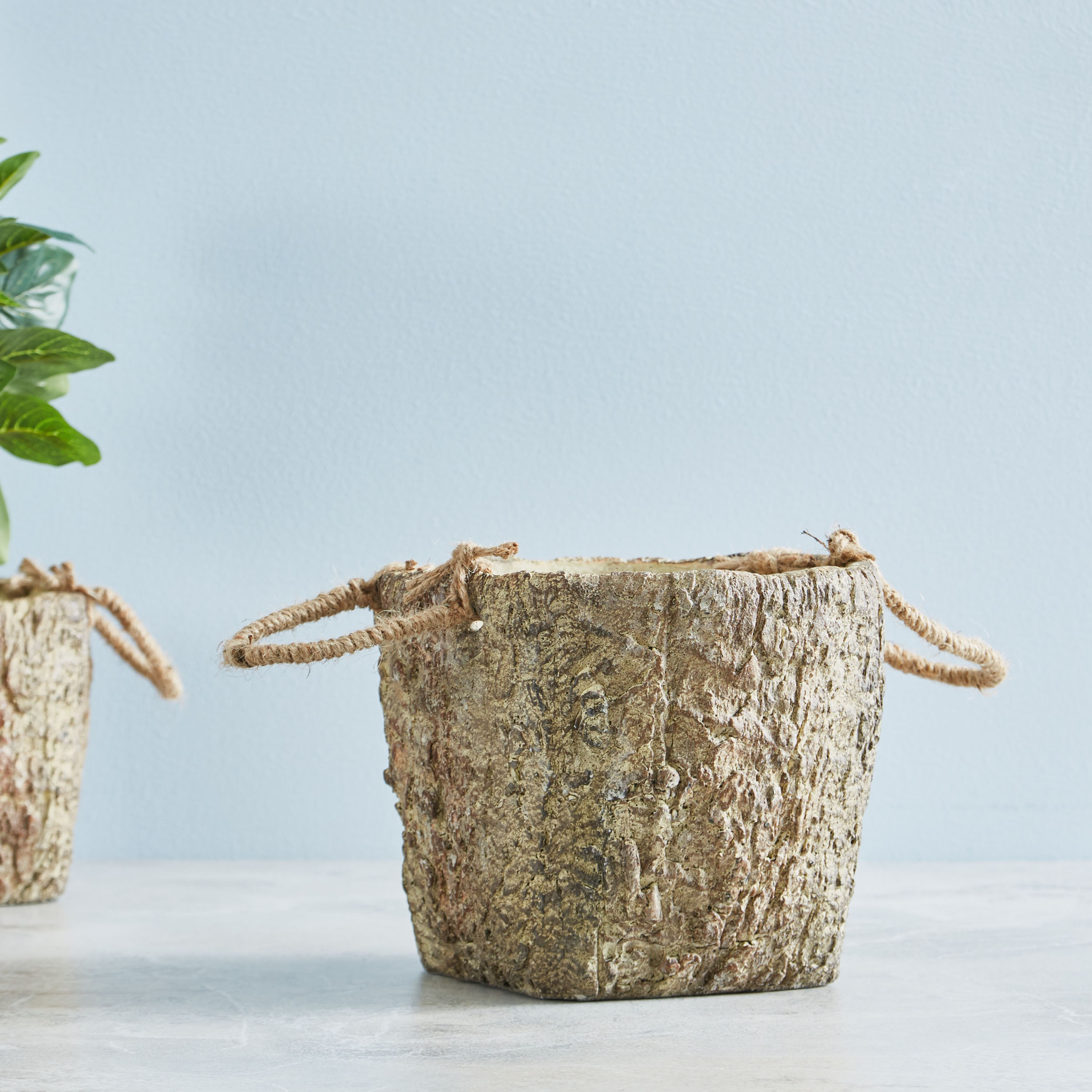 أصيص حديقة اسمنت ويلو - 19 سم-hbxdecorandfurnishings-homeaccessories-artificialflowersandplants-image-1