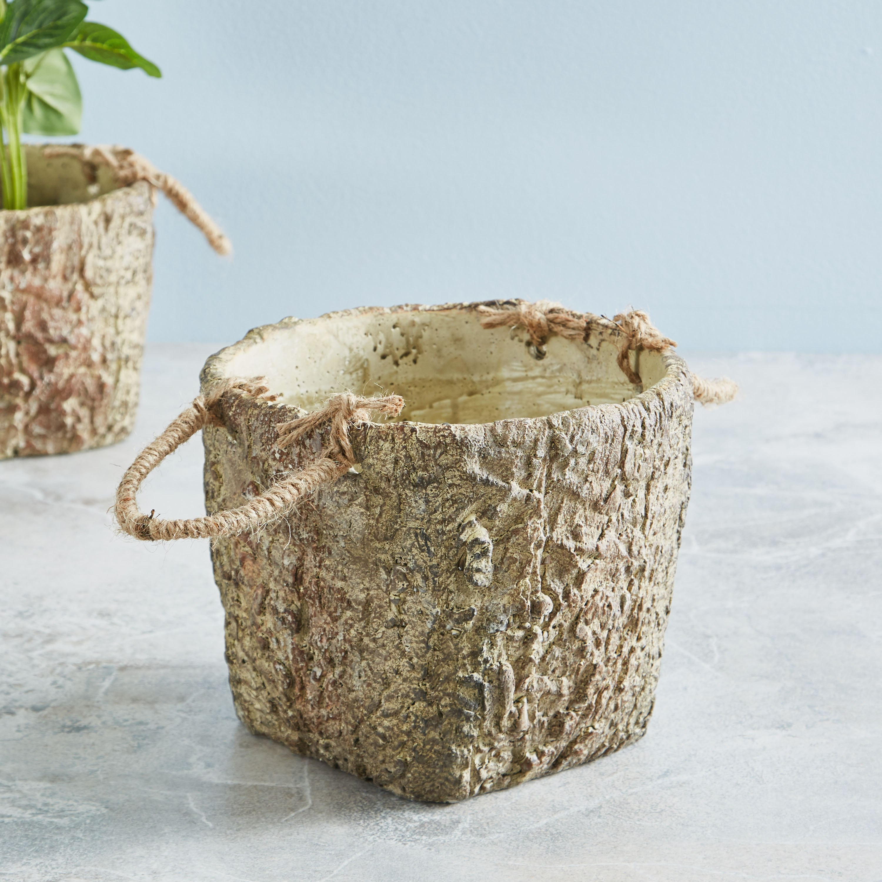 أصيص حديقة اسمنت ويلو - 19 سم-hbxdecorandfurnishings-homeaccessories-artificialflowersandplants-image-2