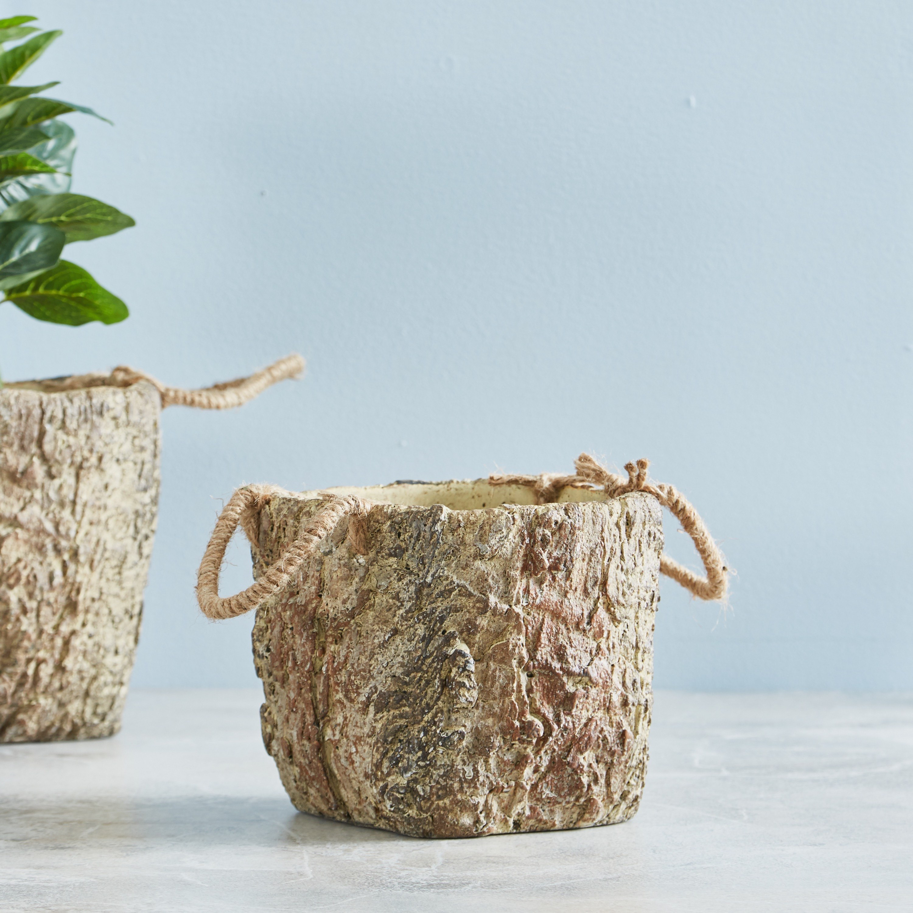 إصيص حديقة أسمنتي من ويلو - 15 سم-hbxdecorandfurnishings-homeaccessories-artificialflowersandplants-image-1