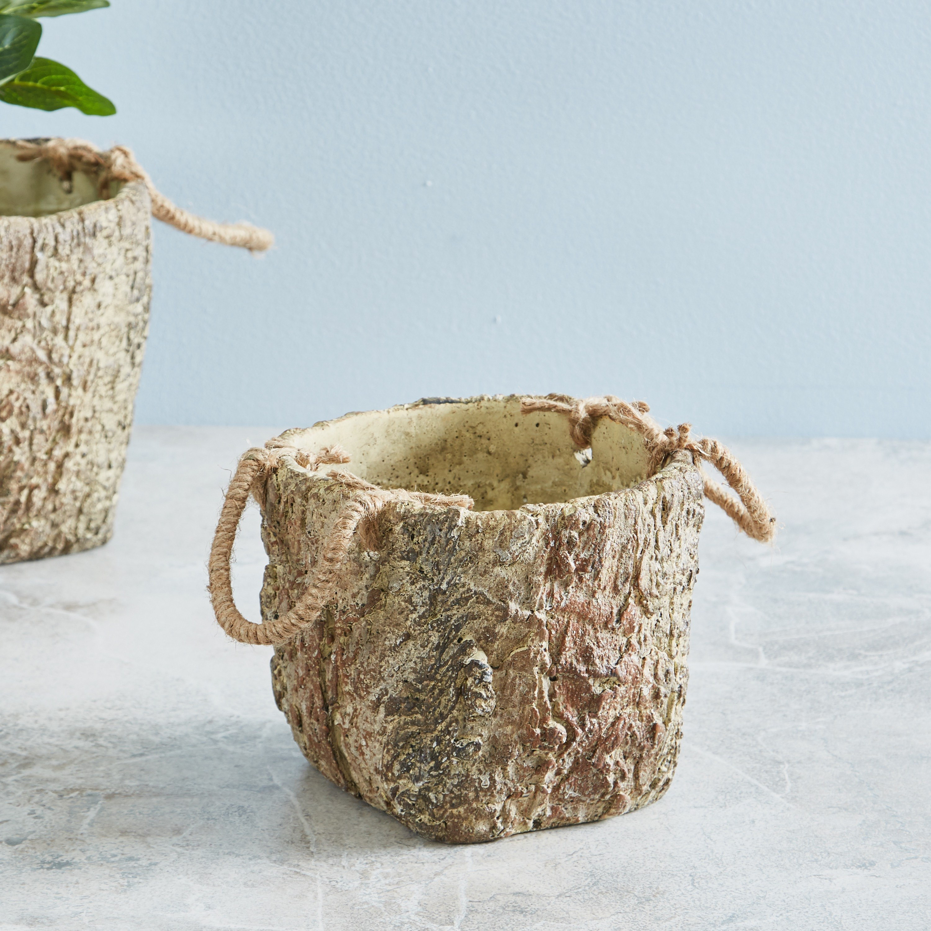 إصيص حديقة أسمنتي من ويلو - 15 سم-hbxdecorandfurnishings-homeaccessories-artificialflowersandplants-image-2