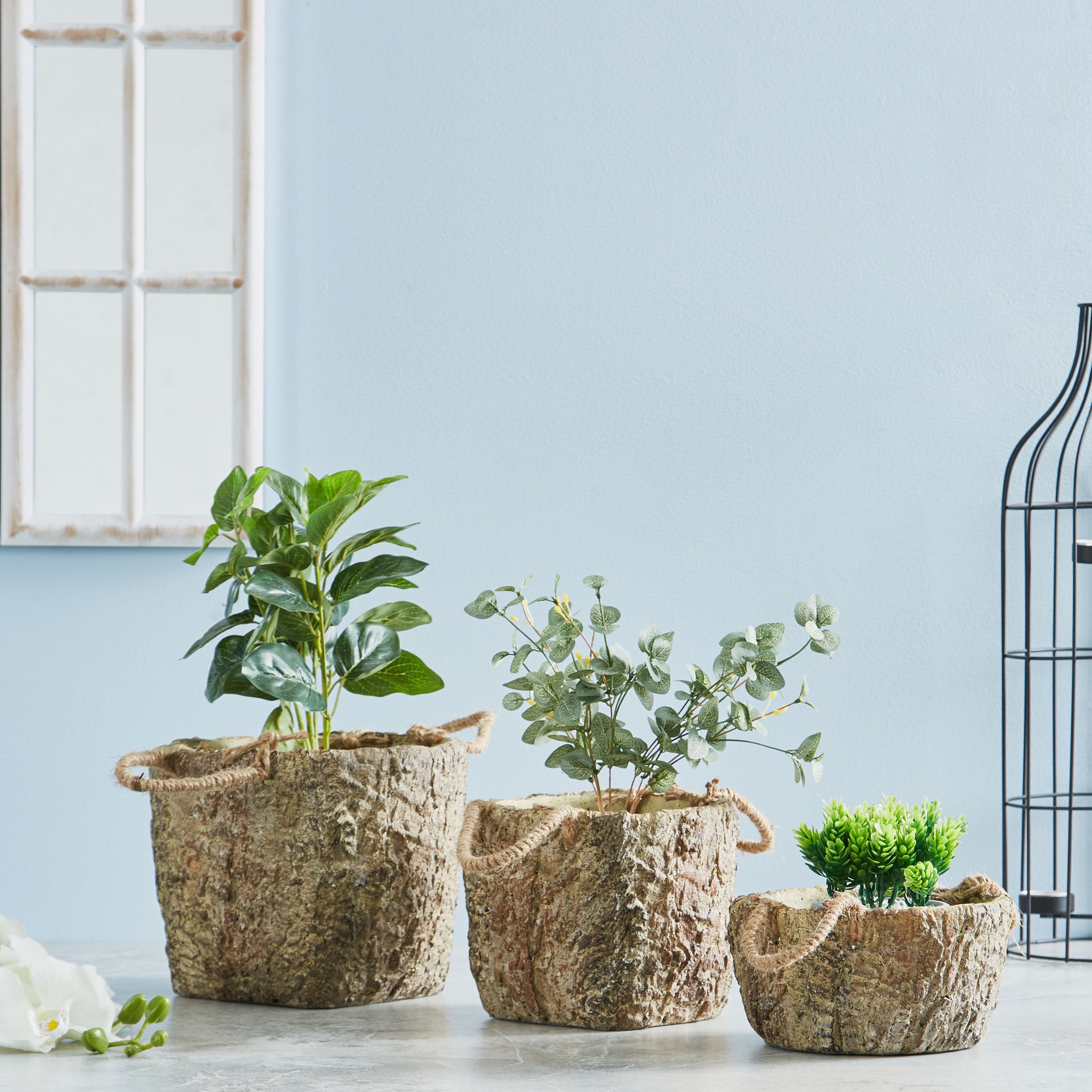 إصيص حديقة أسمنتي من ويلو - 15 سم-hbxdecorandfurnishings-homeaccessories-artificialflowersandplants-image-4