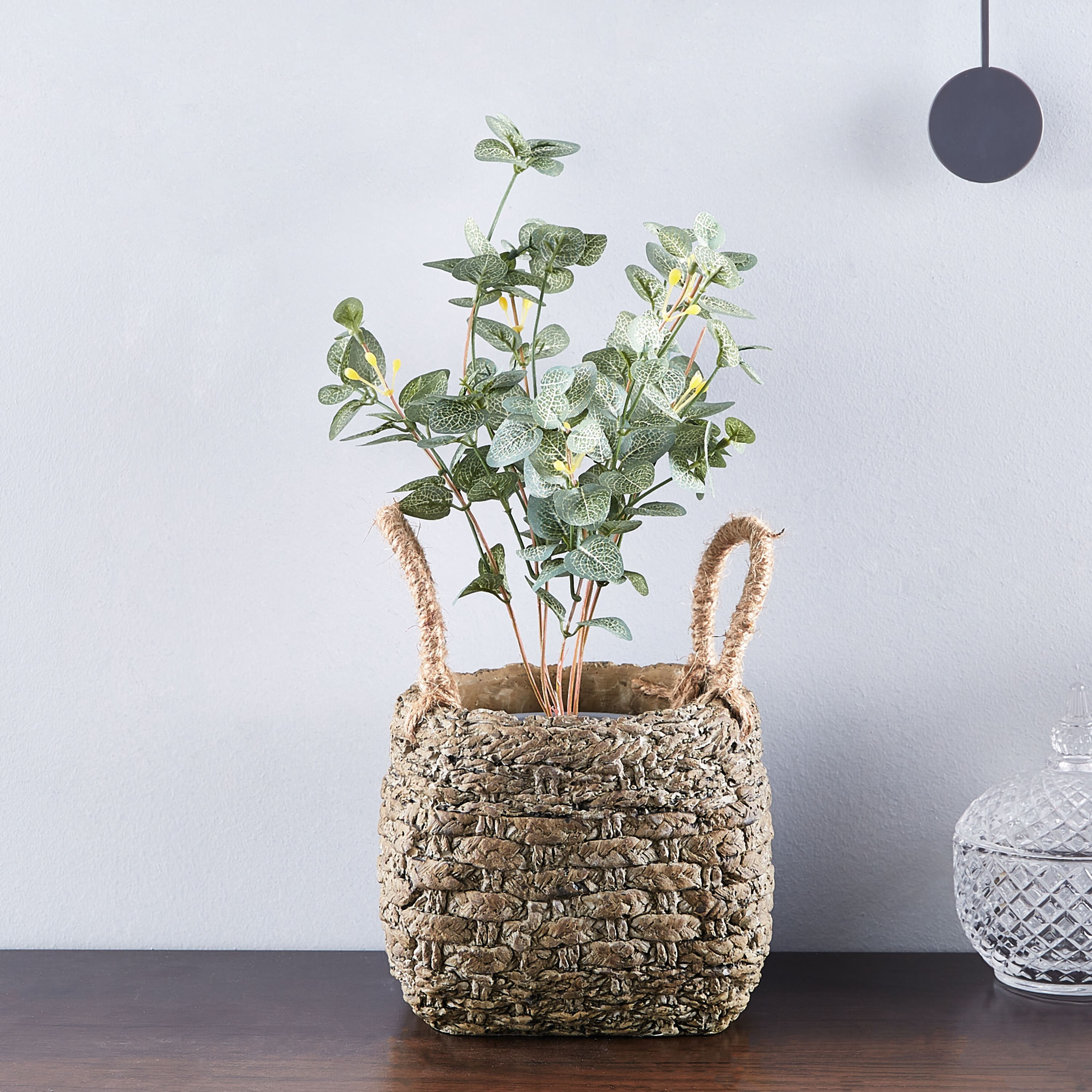 إصيص حديقة من ويلو-hbxdecorandfurnishings-homeaccessories-artificialflowersandplants-image-4