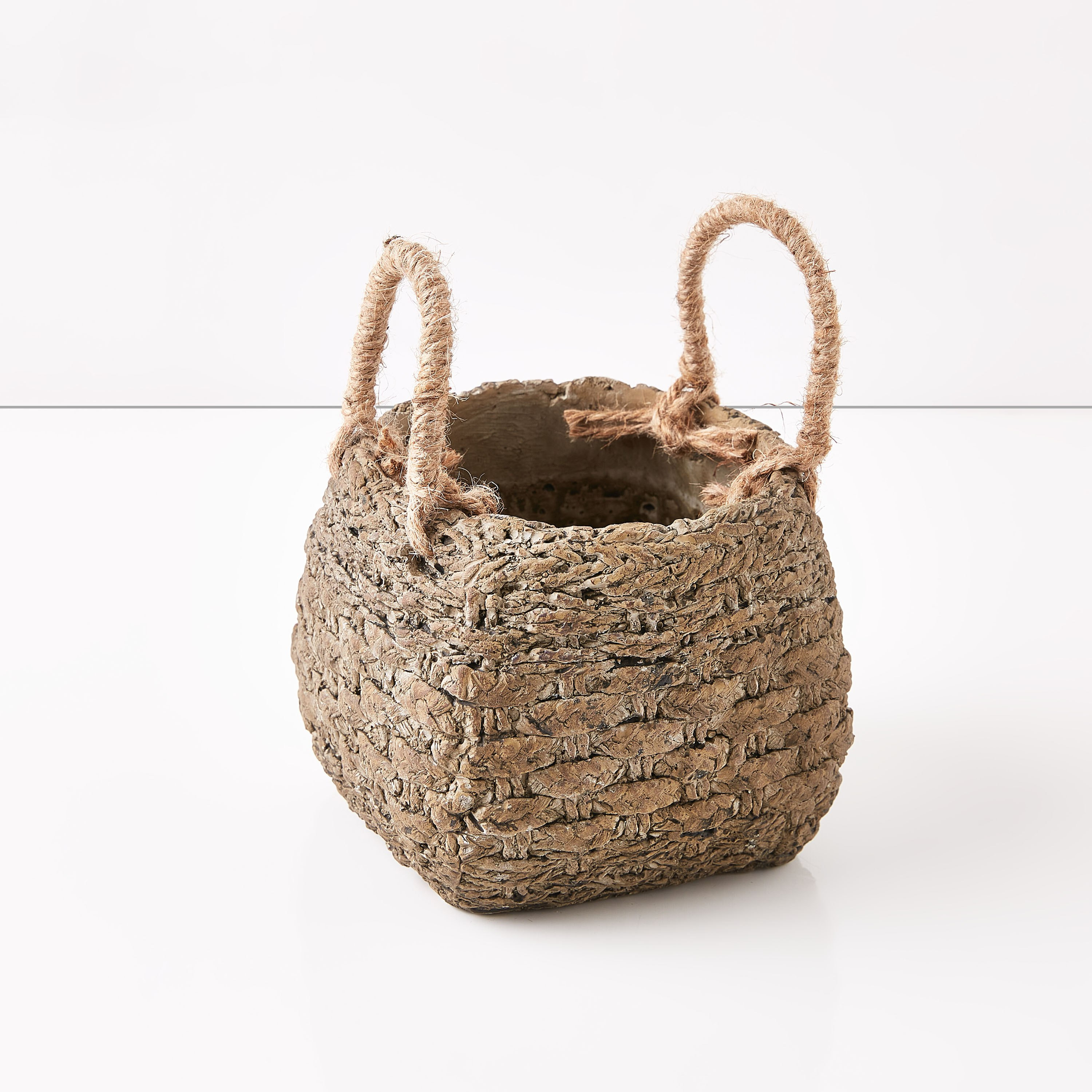 إصيص حديقة من ويلو-hbxdecorandfurnishings-homeaccessories-artificialflowersandplants-image-6