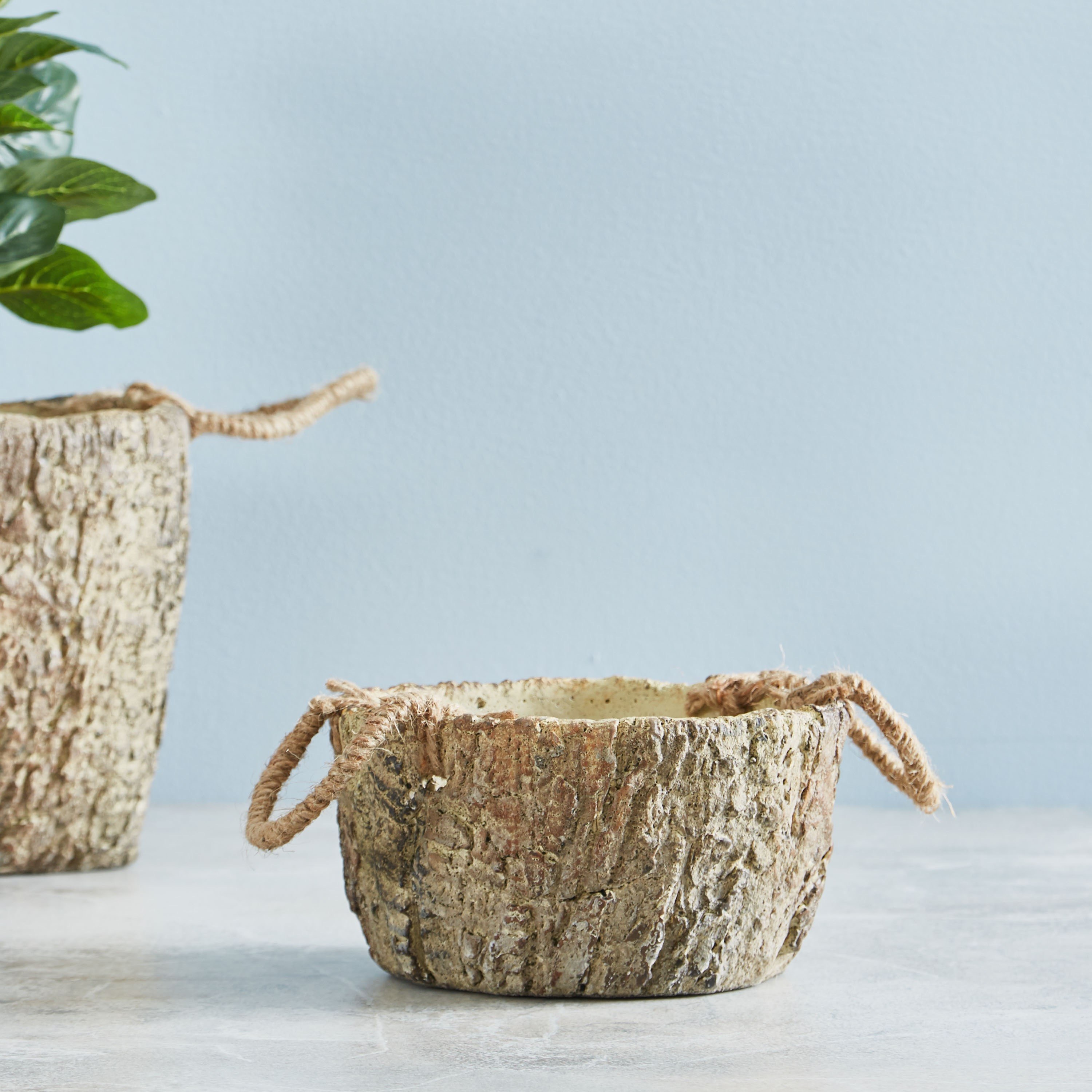 أصيص حديقة اسمنت من ويلو - 10 سم-hbxdecorandfurnishings-homeaccessories-artificialflowersandplants-image-1