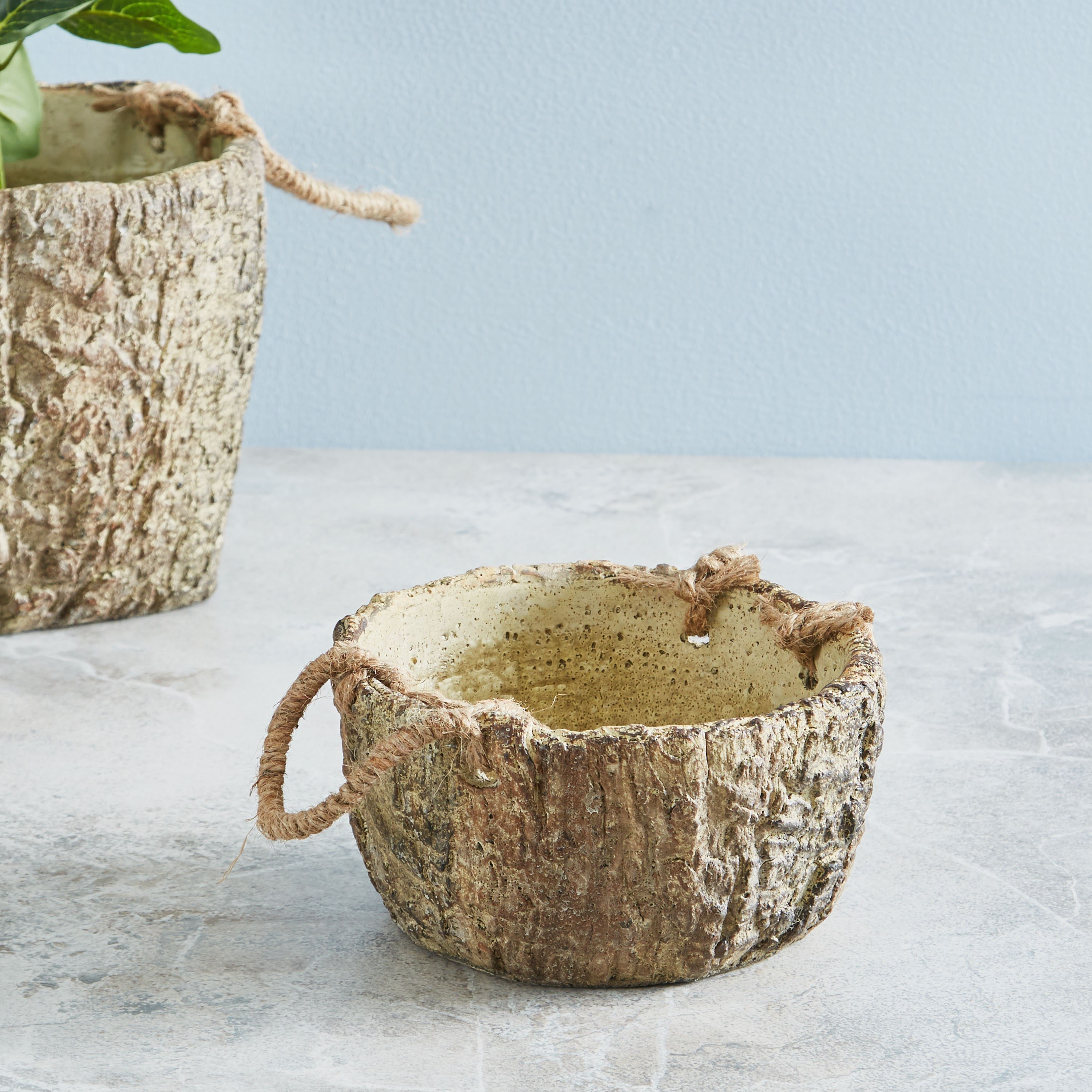 أصيص حديقة اسمنت من ويلو - 10 سم-hbxdecorandfurnishings-homeaccessories-artificialflowersandplants-image-2