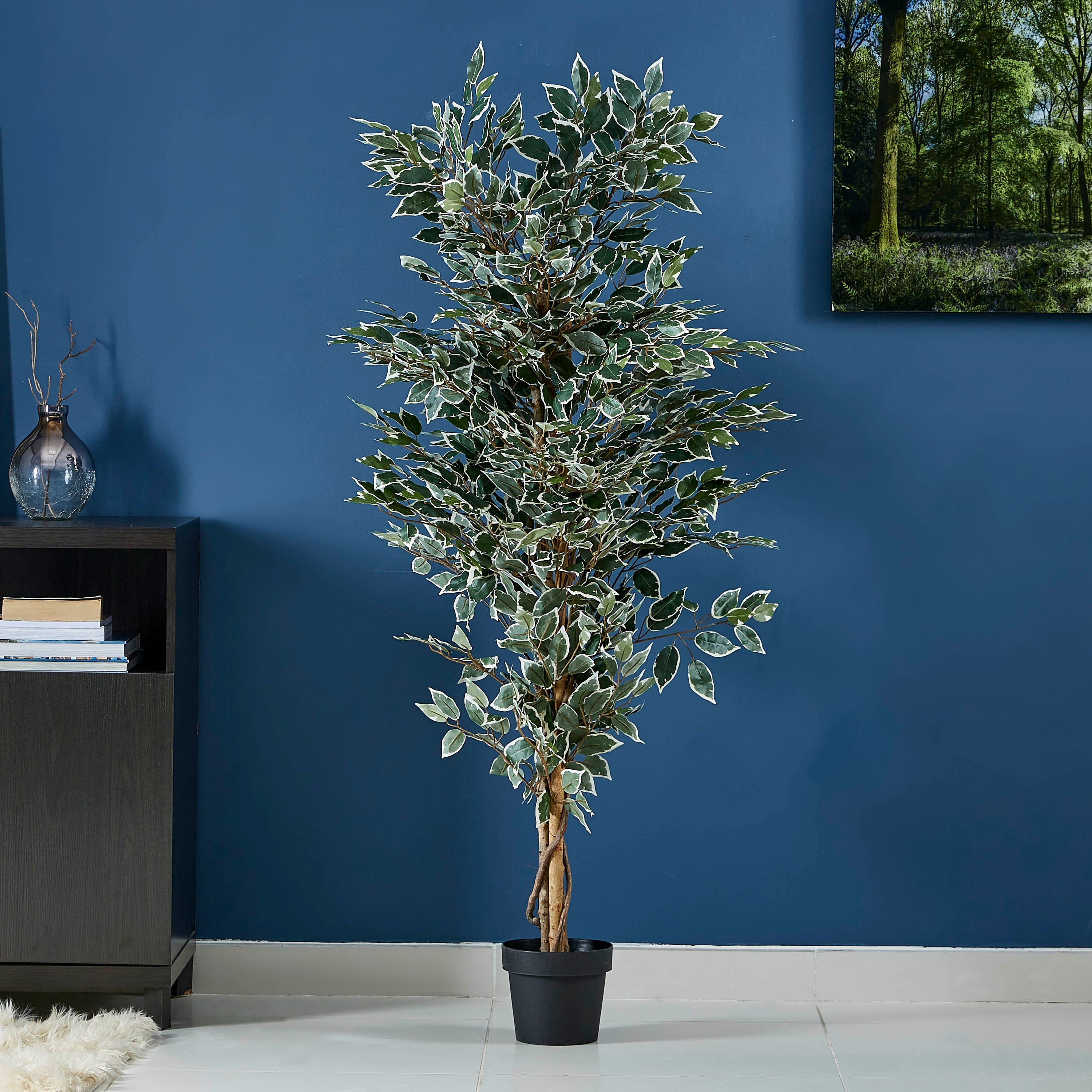 نبتة فيكوس في إصيص من الإسمنت - 170 سم-hbxdecorandfurnishings-homeaccessories-artificialflowersandplants-image-1