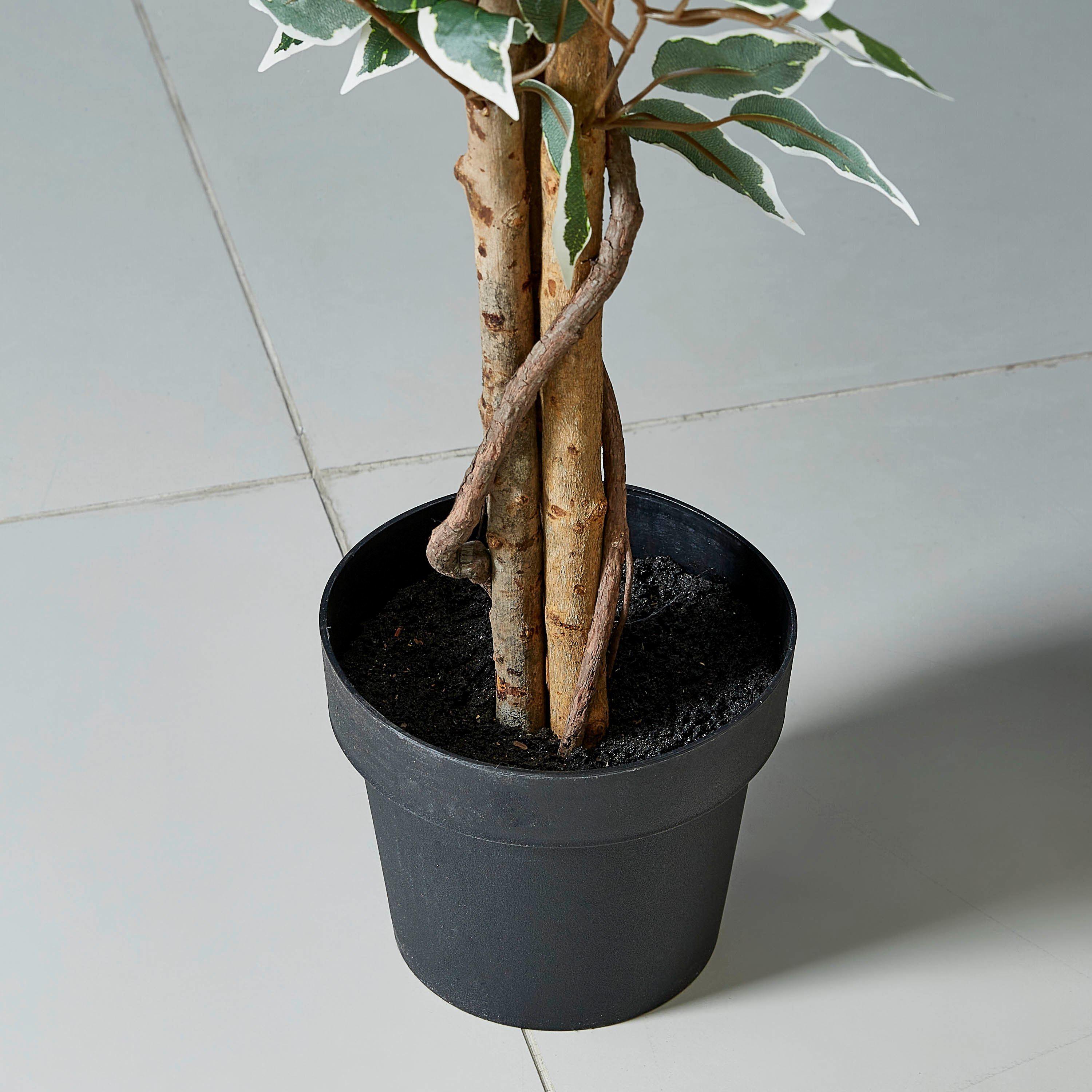 نبتة فيكوس في إصيص من الإسمنت - 170 سم-hbxdecorandfurnishings-homeaccessories-artificialflowersandplants-image-3