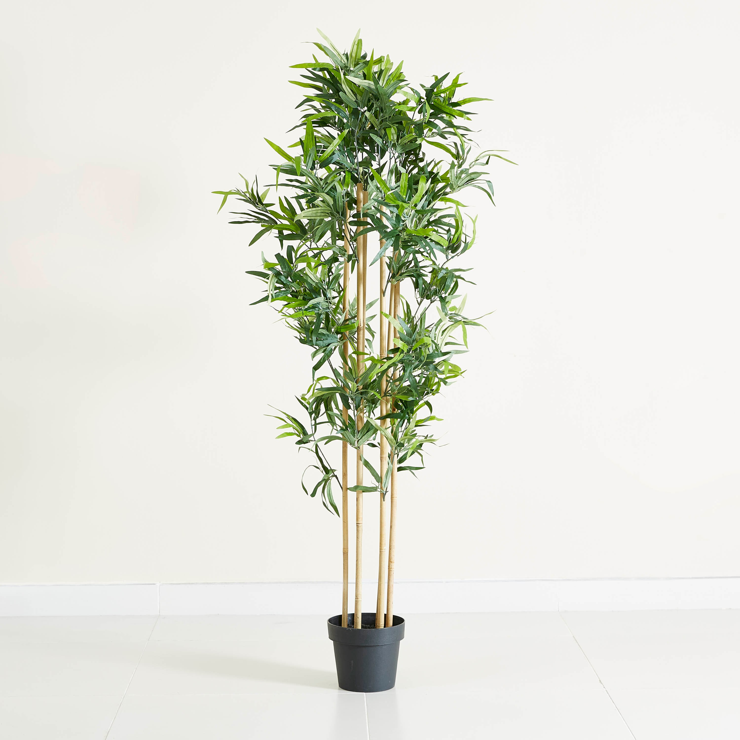 نبتة خيزران في إصيص من الإسمنت - 156 سم-hbxdecorandfurnishings-homeaccessories-artificialflowersandplants-image-5