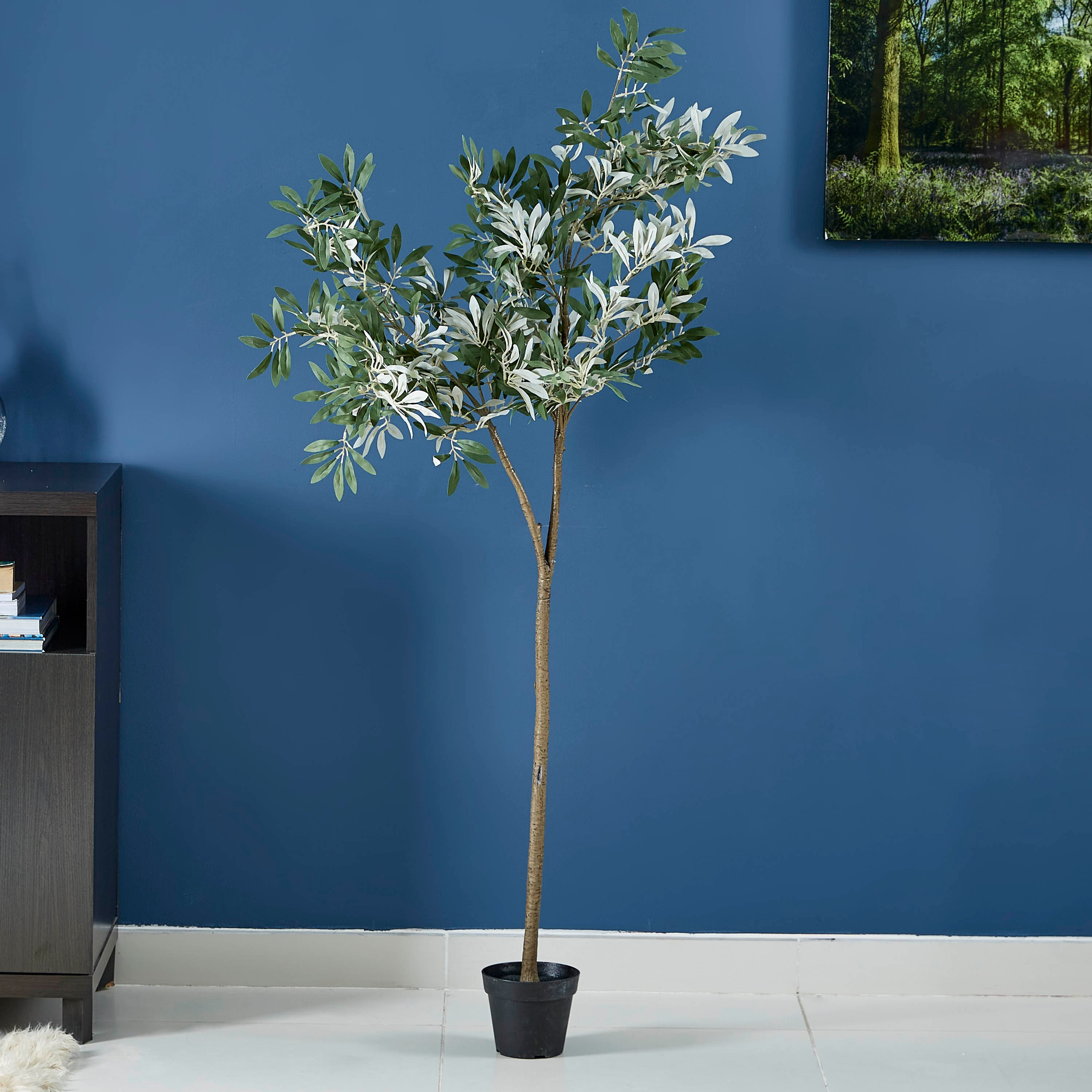 نبتة زيتون في إصيص من الاسمنت - 165 سم-hbxdecorandfurnishings-homeaccessories-artificialflowersandplants-image-1