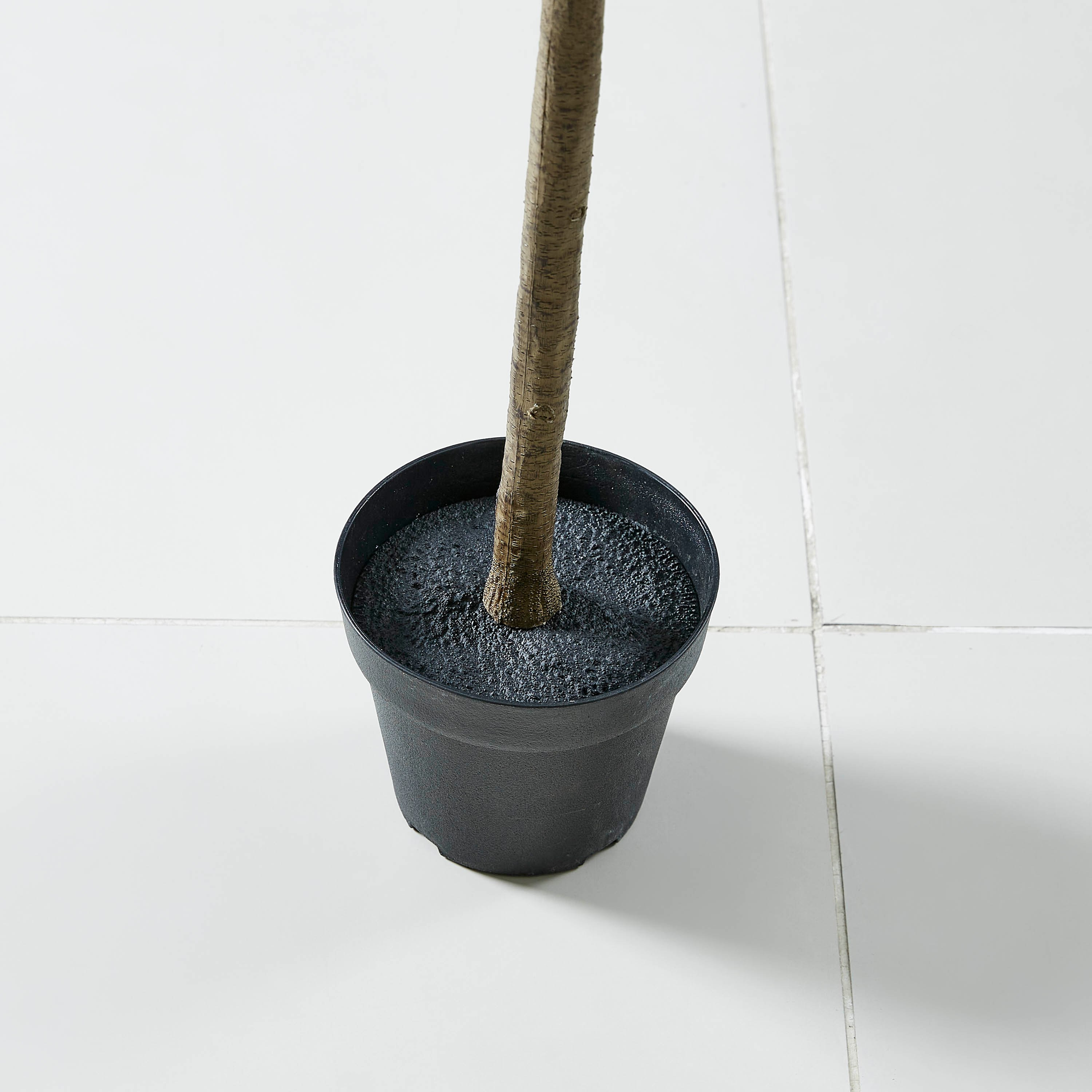 نبتة زيتون في إصيص من الاسمنت - 165 سم-hbxdecorandfurnishings-homeaccessories-artificialflowersandplants-image-3