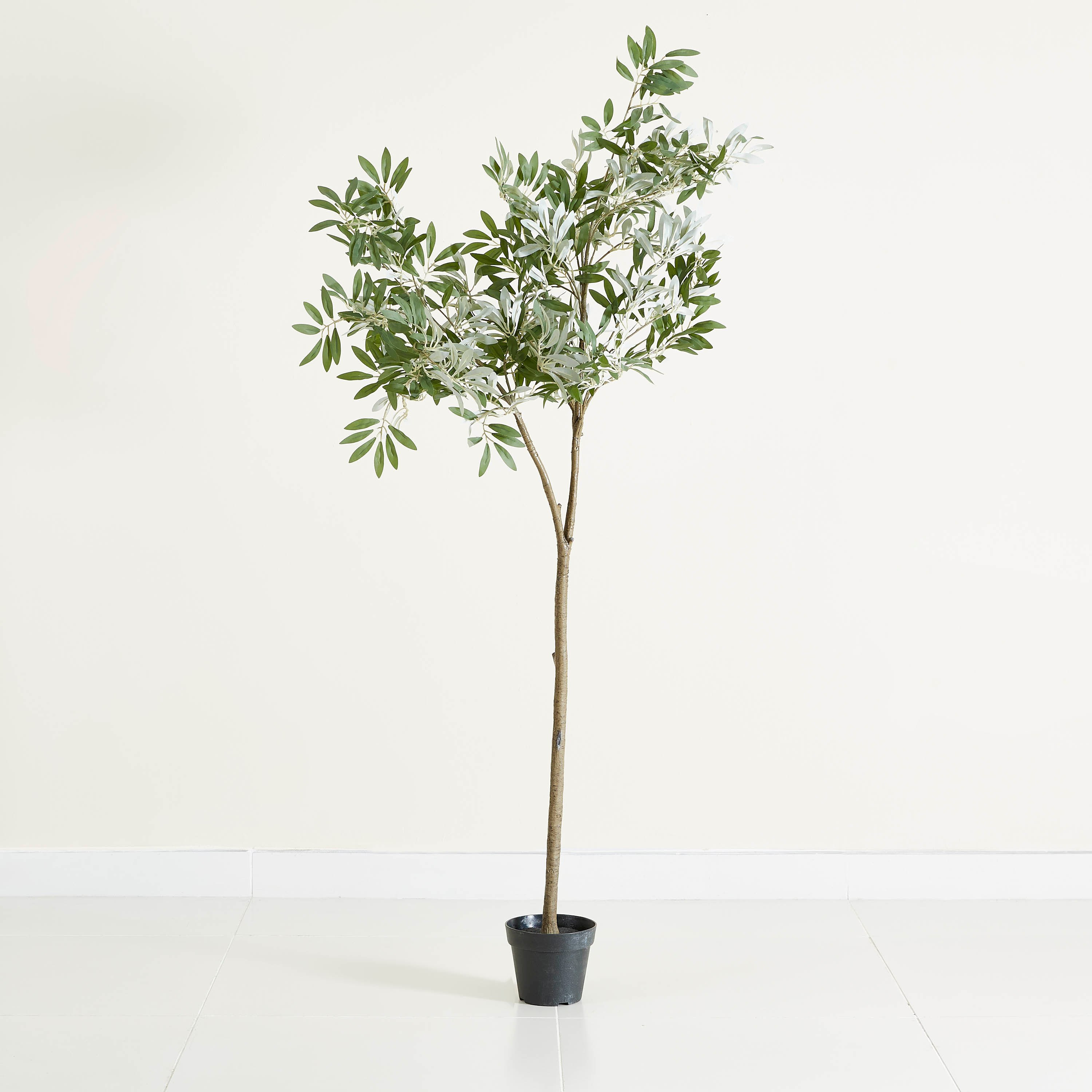 نبتة زيتون في إصيص من الاسمنت - 165 سم-hbxdecorandfurnishings-homeaccessories-artificialflowersandplants-image-5