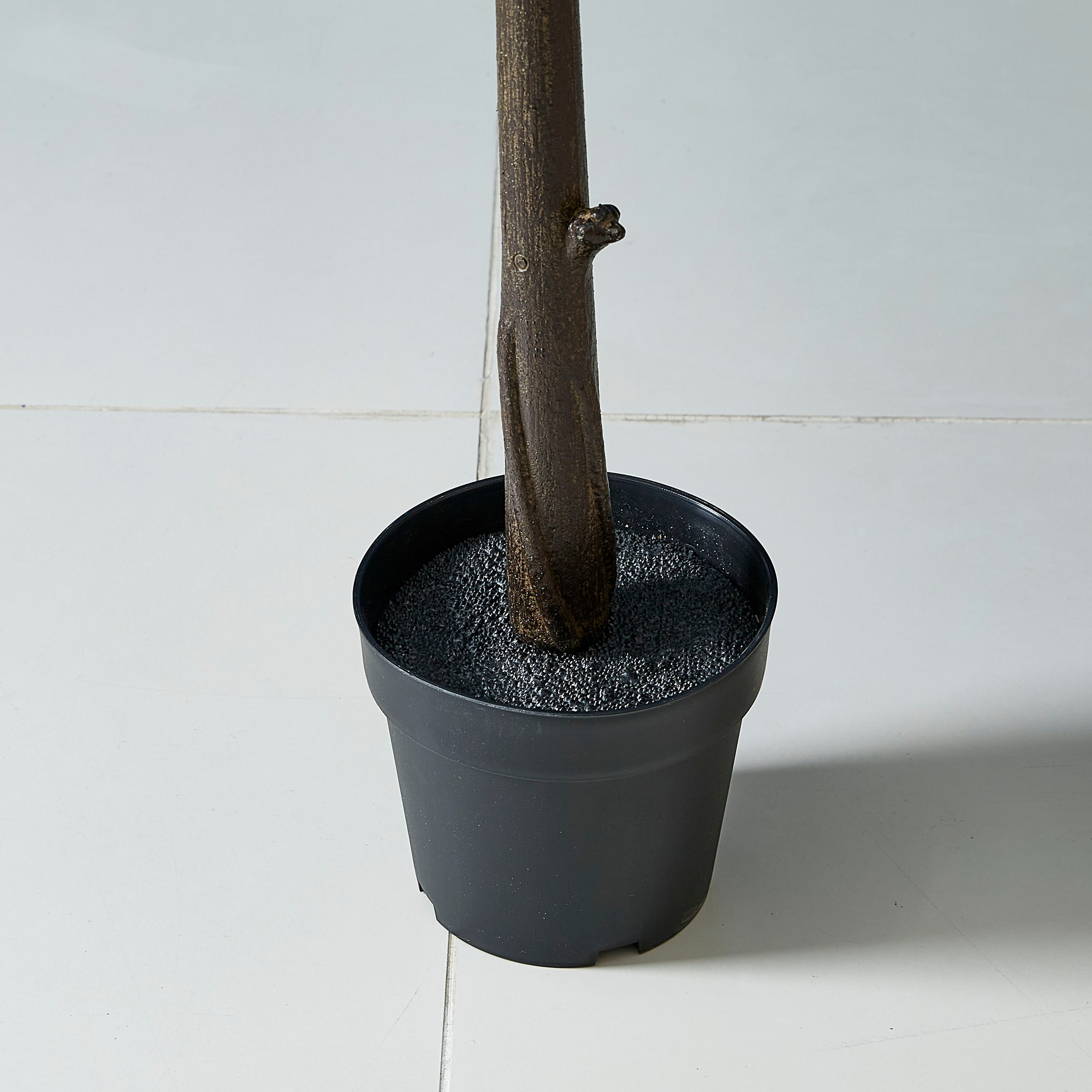 نبتة تين في إصيص من الإسمنت - 148 سم-hbxdecorandfurnishings-homeaccessories-artificialflowersandplants-image-3