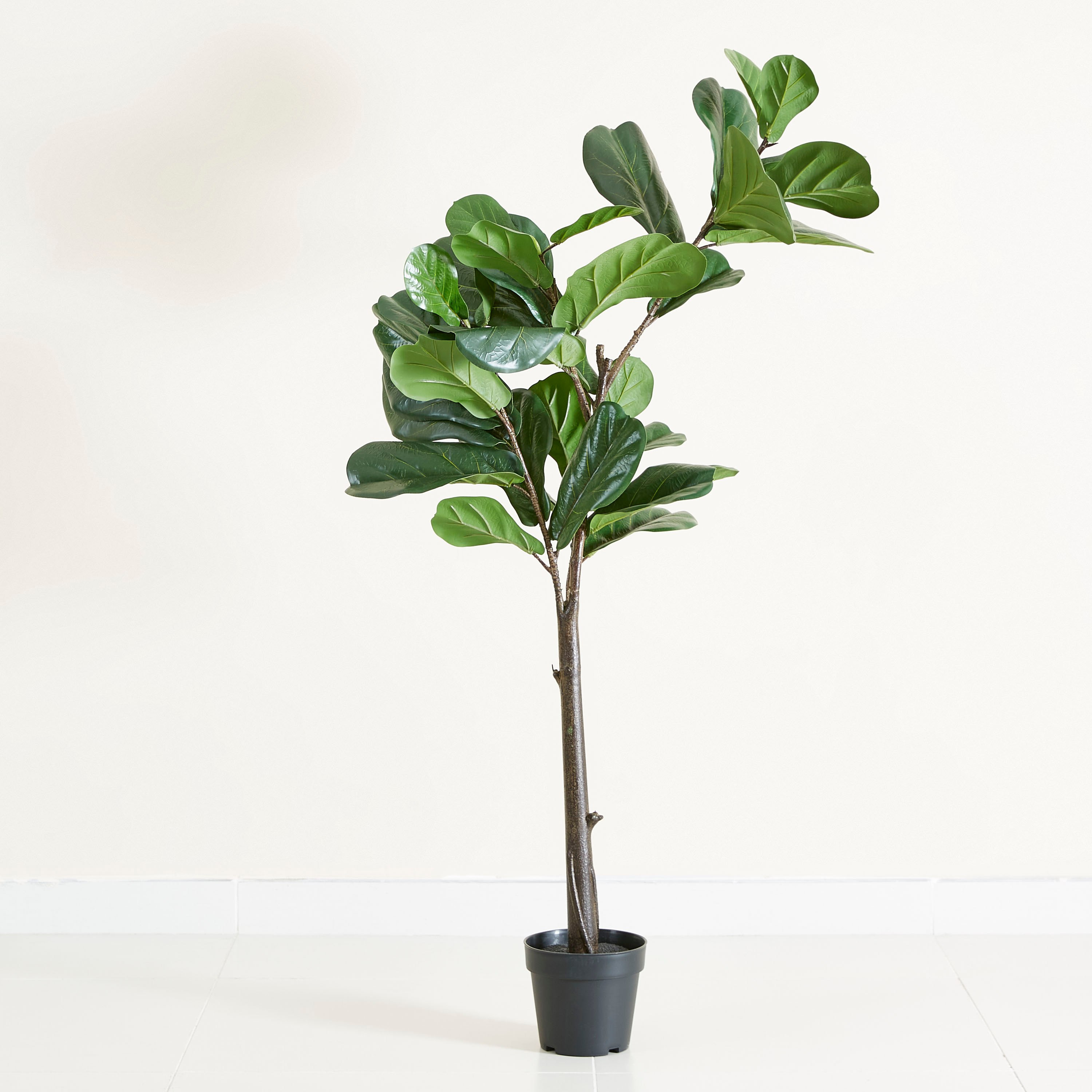 نبتة تين في إصيص من الإسمنت - 148 سم-hbxdecorandfurnishings-homeaccessories-artificialflowersandplants-image-5