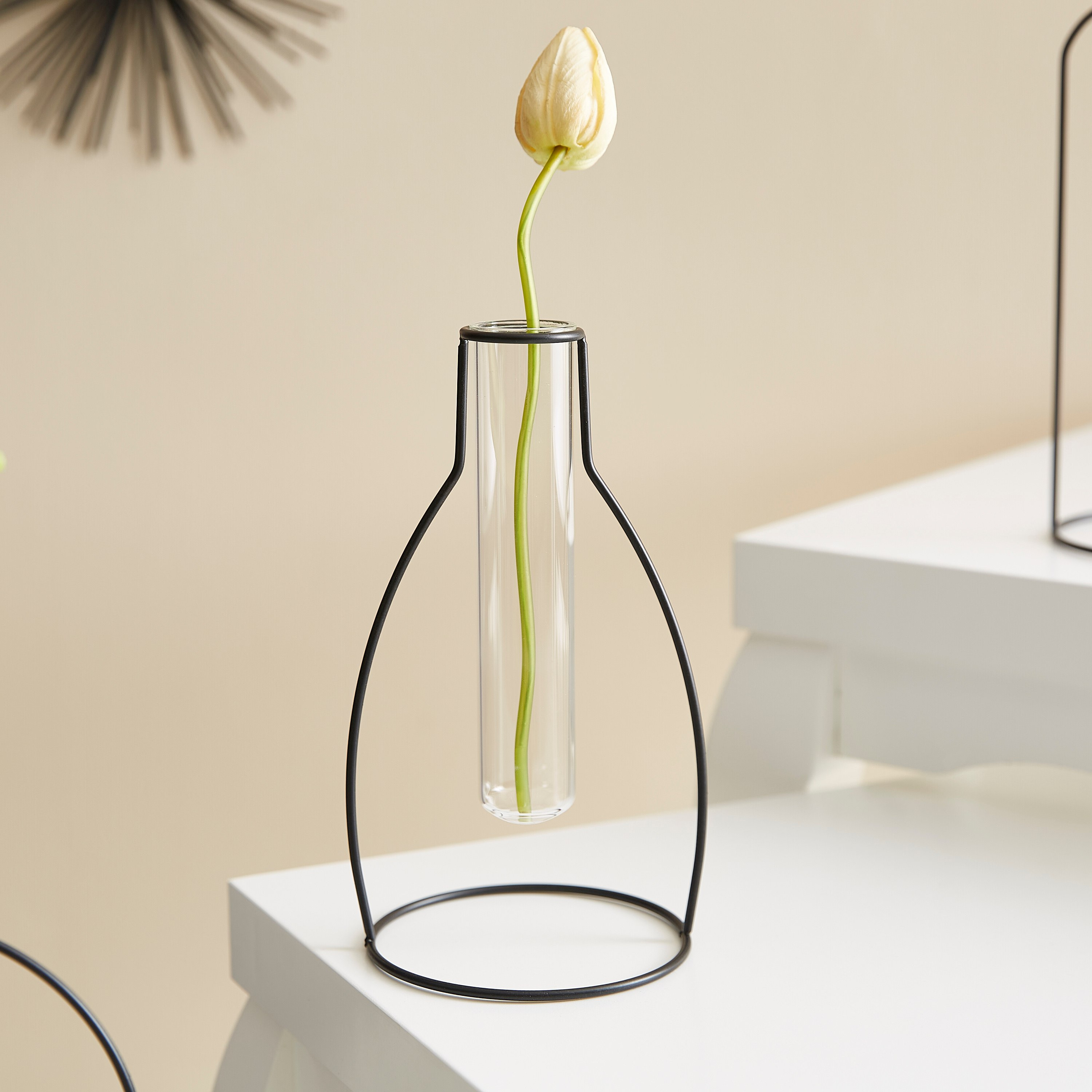 Zia Glass Tube Vase with Metal Frame-hbxbedroom-decorandaccessories-vases-image-1