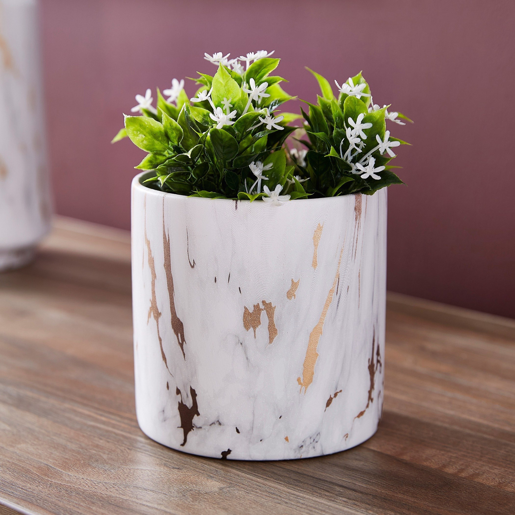 إصيص حديقة دولميت من إليت - 11 سم-hbxdecorandfurnishings-homeaccessories-artificialflowersandplants-image-2