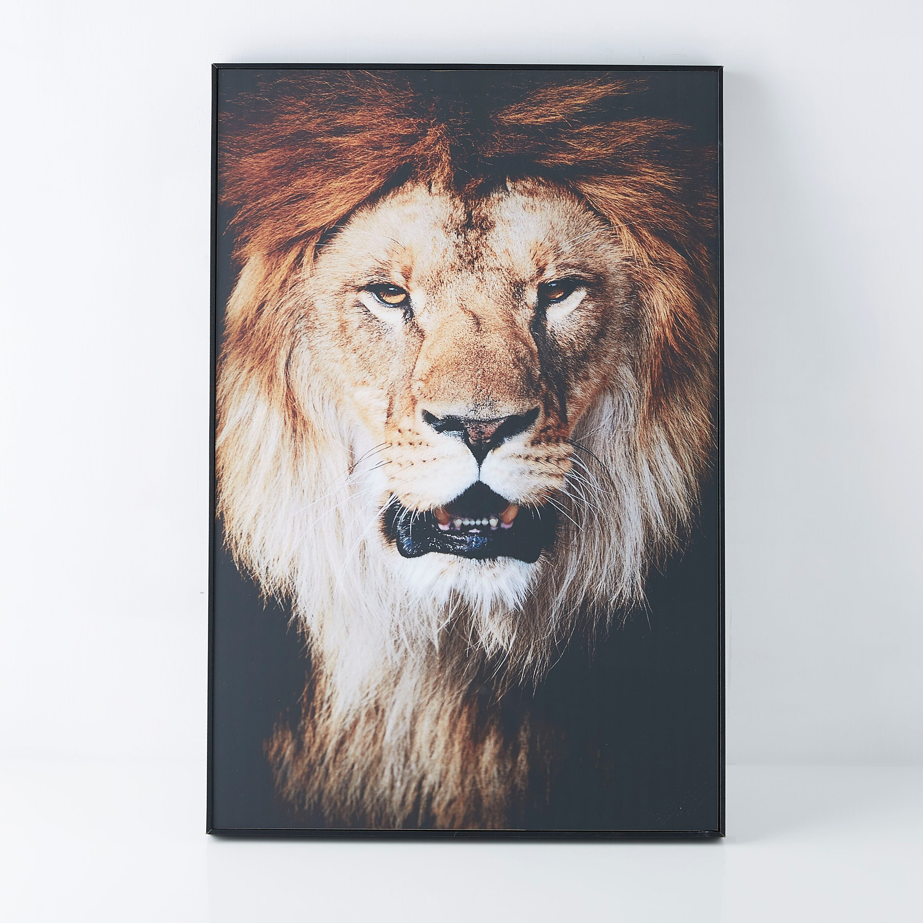 لوحة مؤطّرة بطبعات أسد من جلايز-PROMO_HB_AE_B1G1_250925-image-5