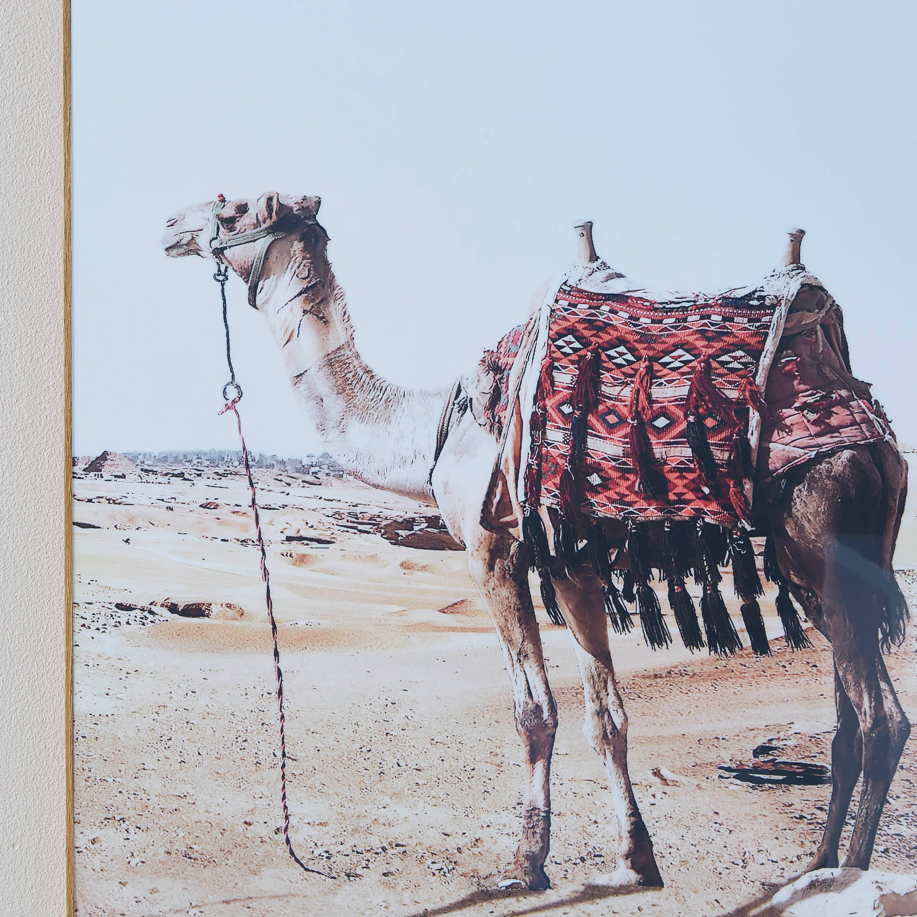صورة مؤطرة بطبعات جمل من جلايز-PROMO_HB_AE_B1G1_250925-image-3