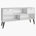 Stark Low TV Unit with 2-Doors for TVs up to 50 inches-TV Units-thumbnailMobile-2