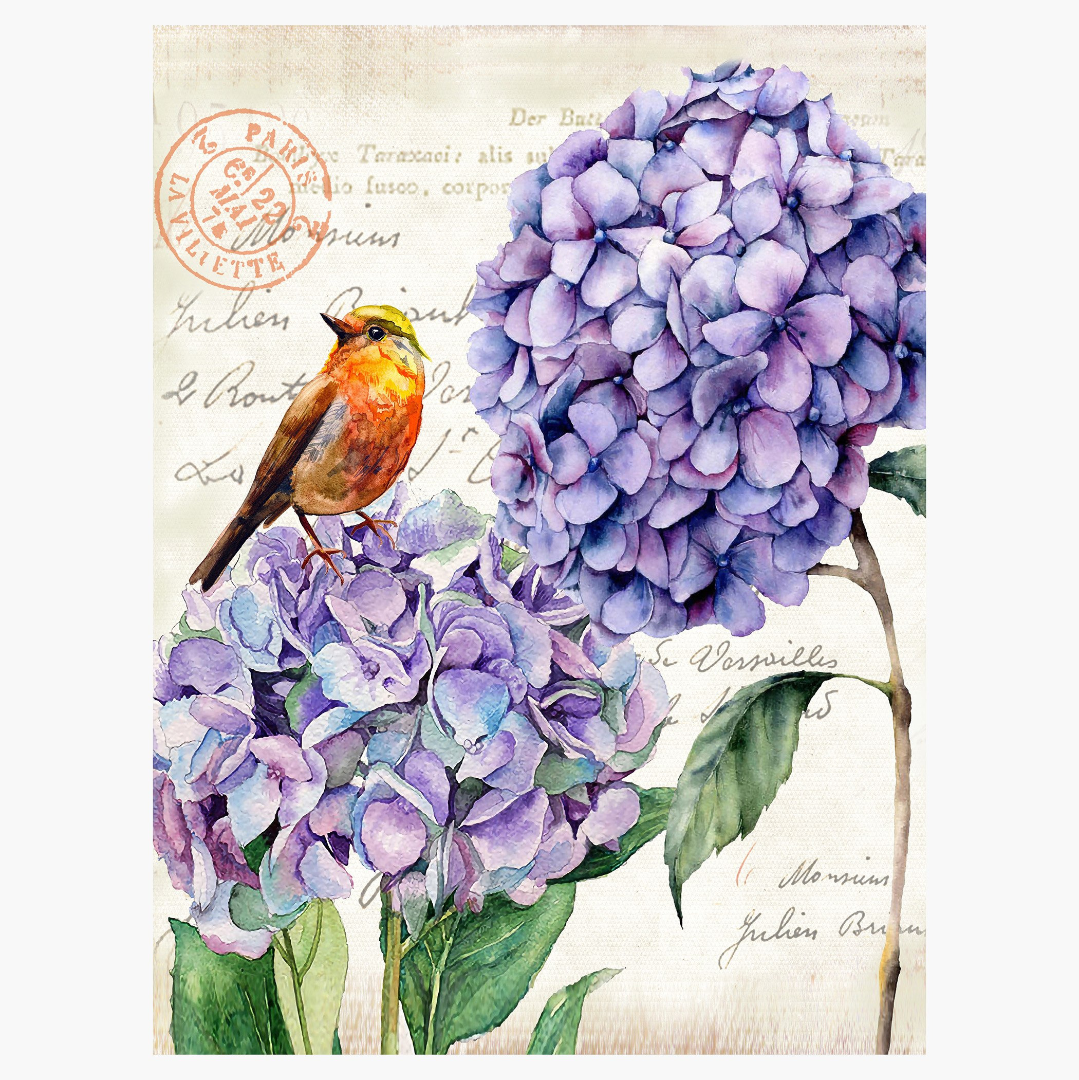 Elmer Postcard Bird and Flowers Canvas Printing Framed Picture-hbxhomeware-hbxdecorandfurnishings-image-2