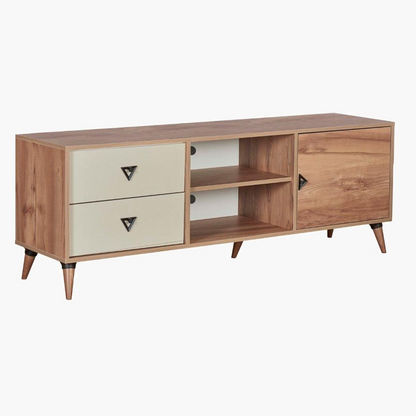 Santiago 2-Drawers Low TV Unit with 1-Door for TVs up to 50 inches