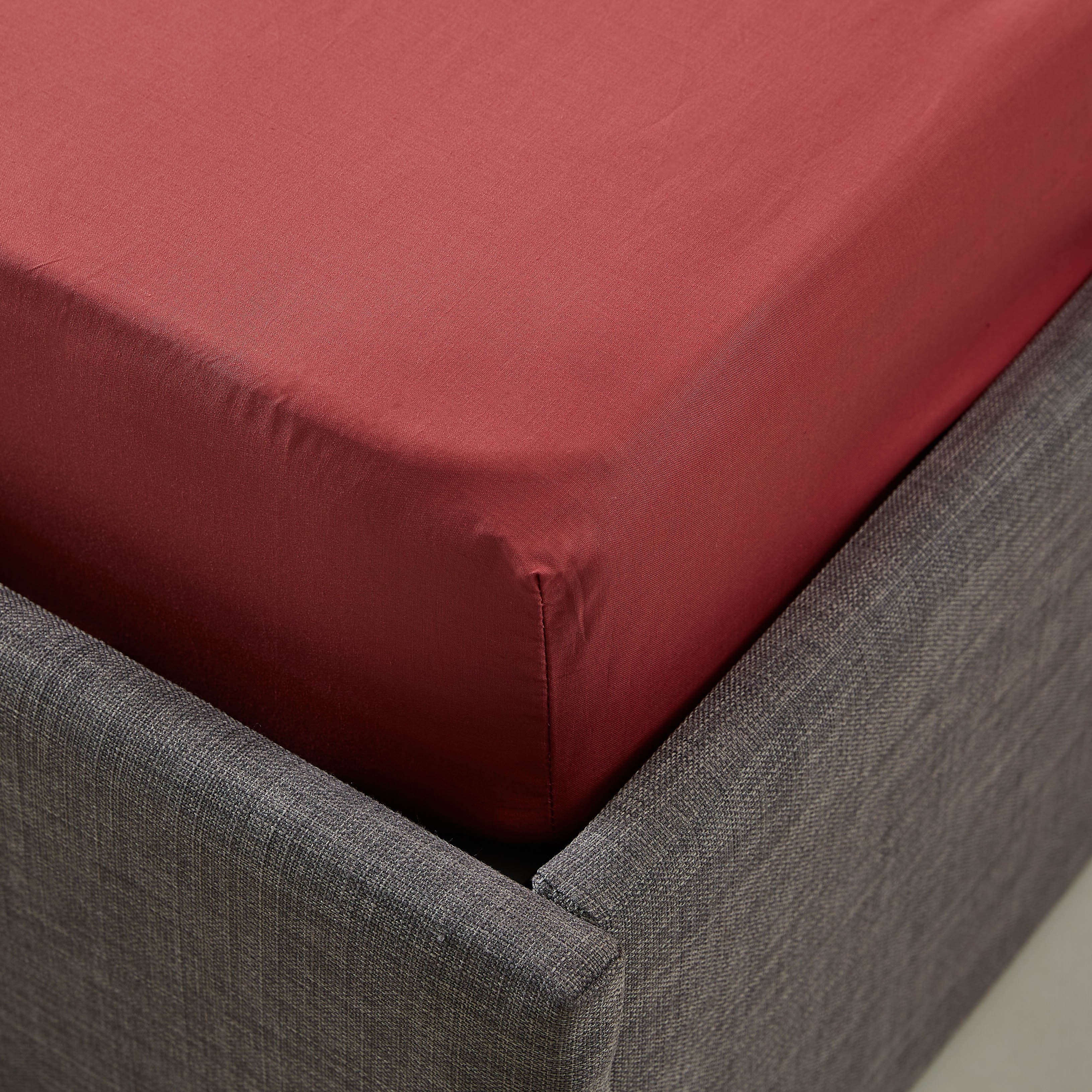 شرشف مطّاطي كينج بولي قطن بطبعات من بريستول - 180x200 سم-hbxhomeware-hbxbedroom-image-3