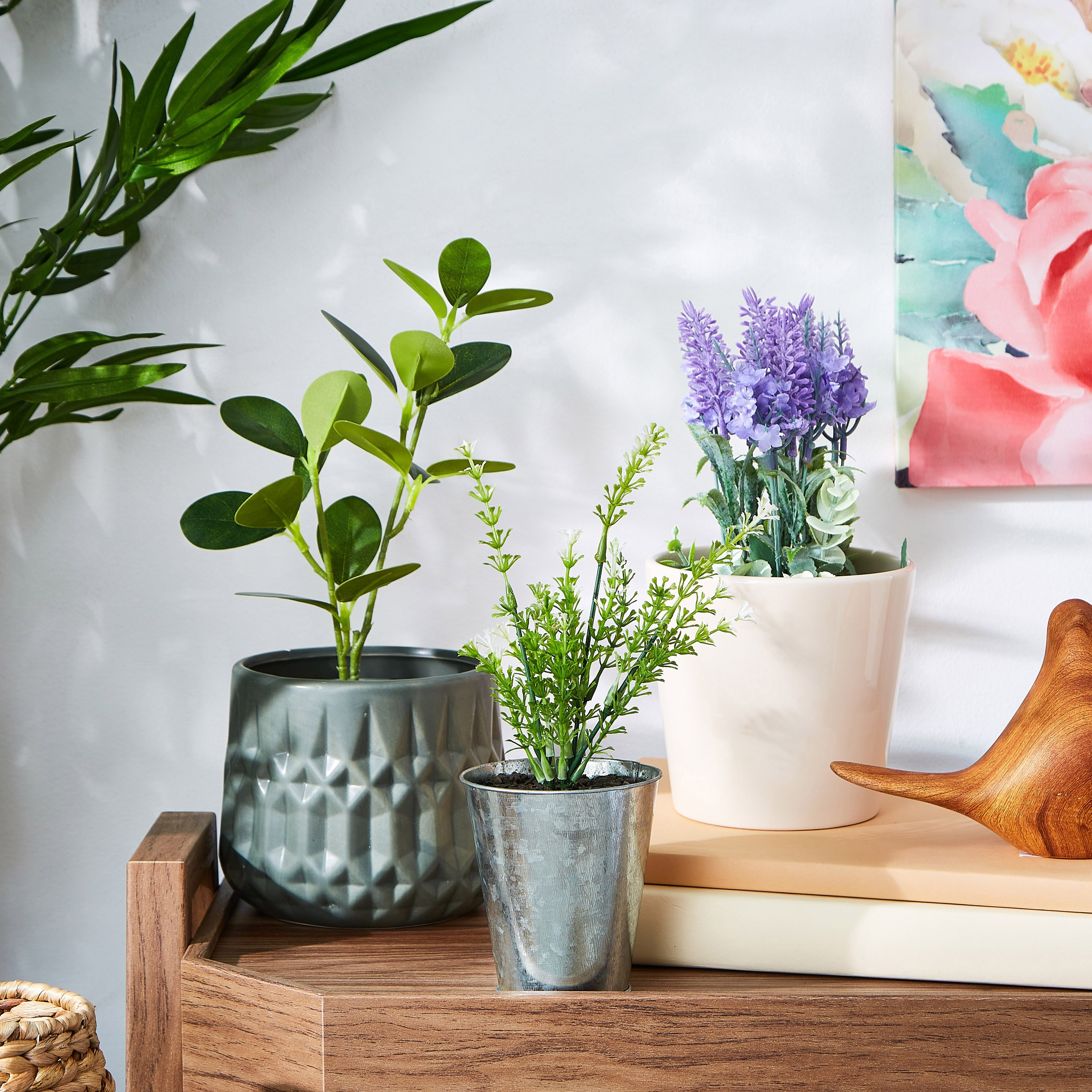Ciara Ceramic Planter-PROMO_HB_AE_B1G1_250925-image-4